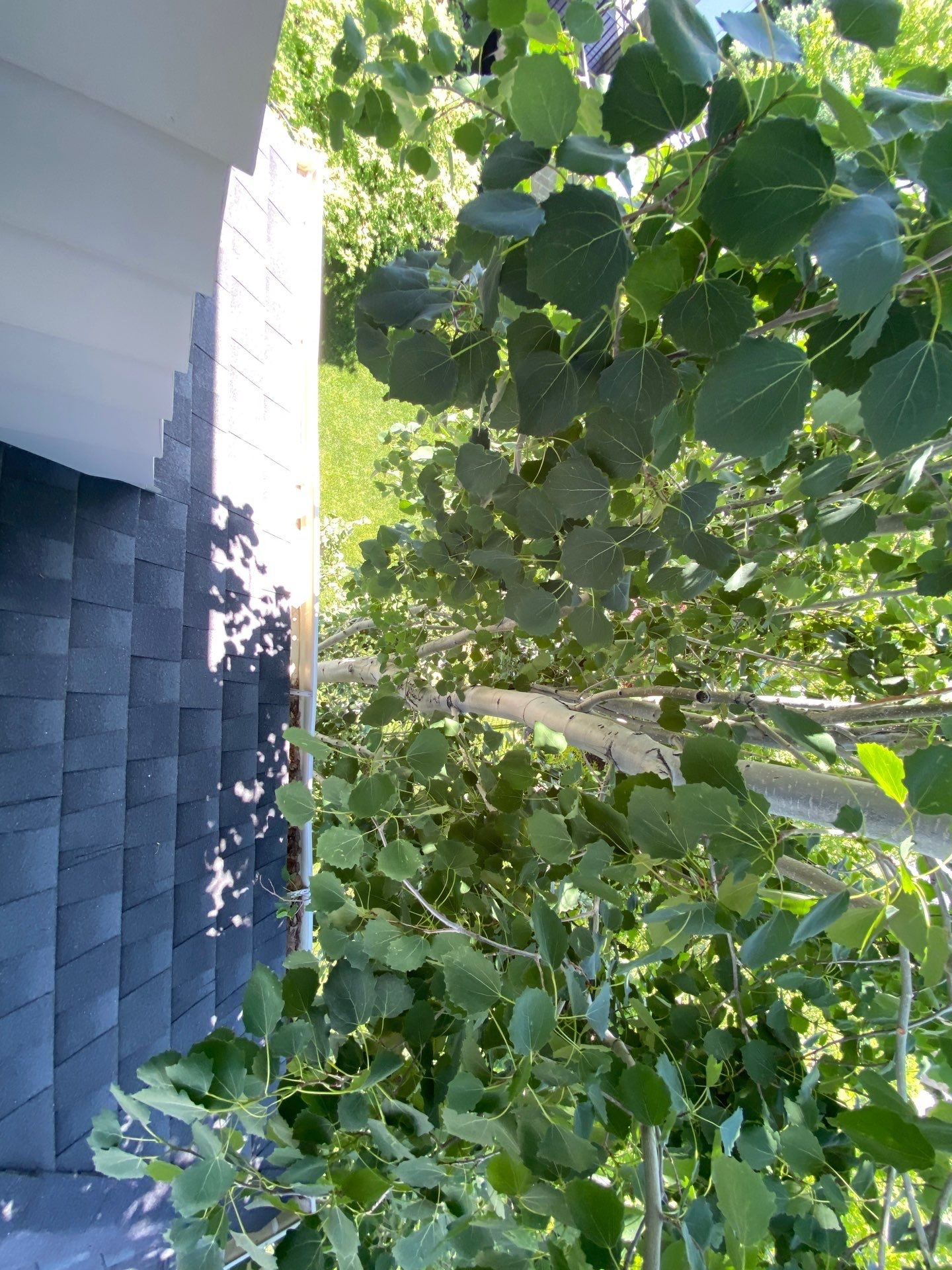 Project in sandy by Emerald Gotcha Gutters 