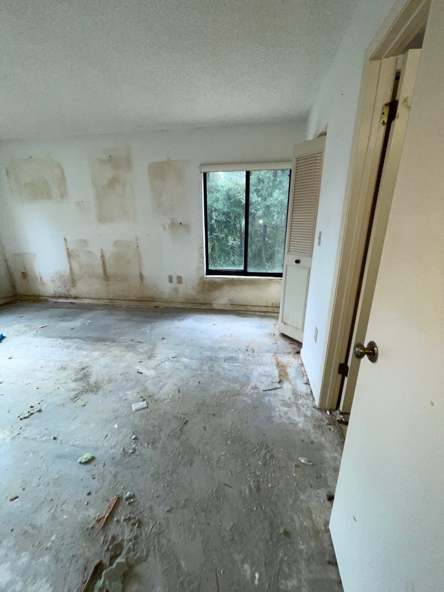 Horder house with Mold and Bacterial Contamination Issues  by Bay Coast Restoration 