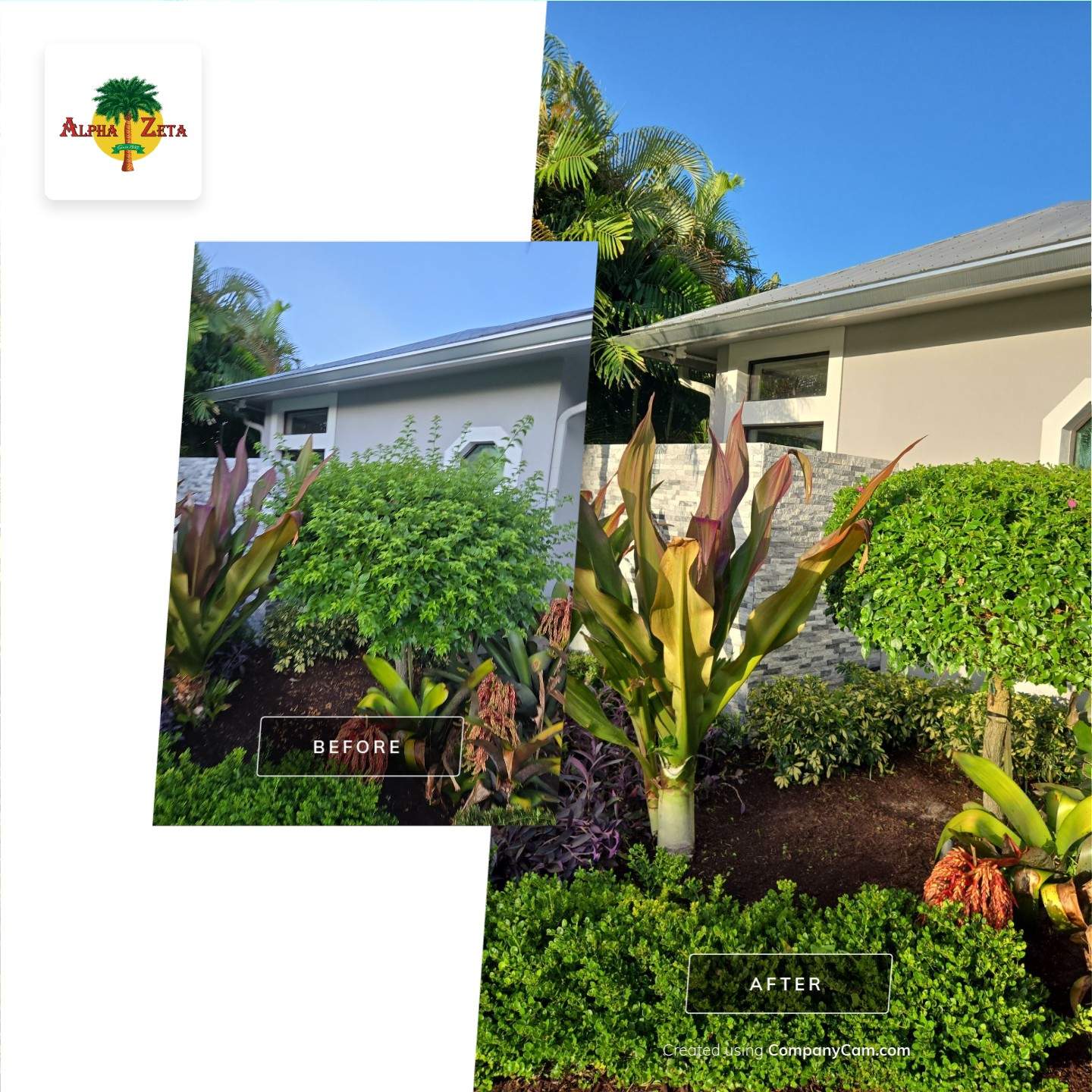 Hunter’s Club Revival – Precision Care Meets Palm City Prestige by Alpha Zeta Enterprises Inc
