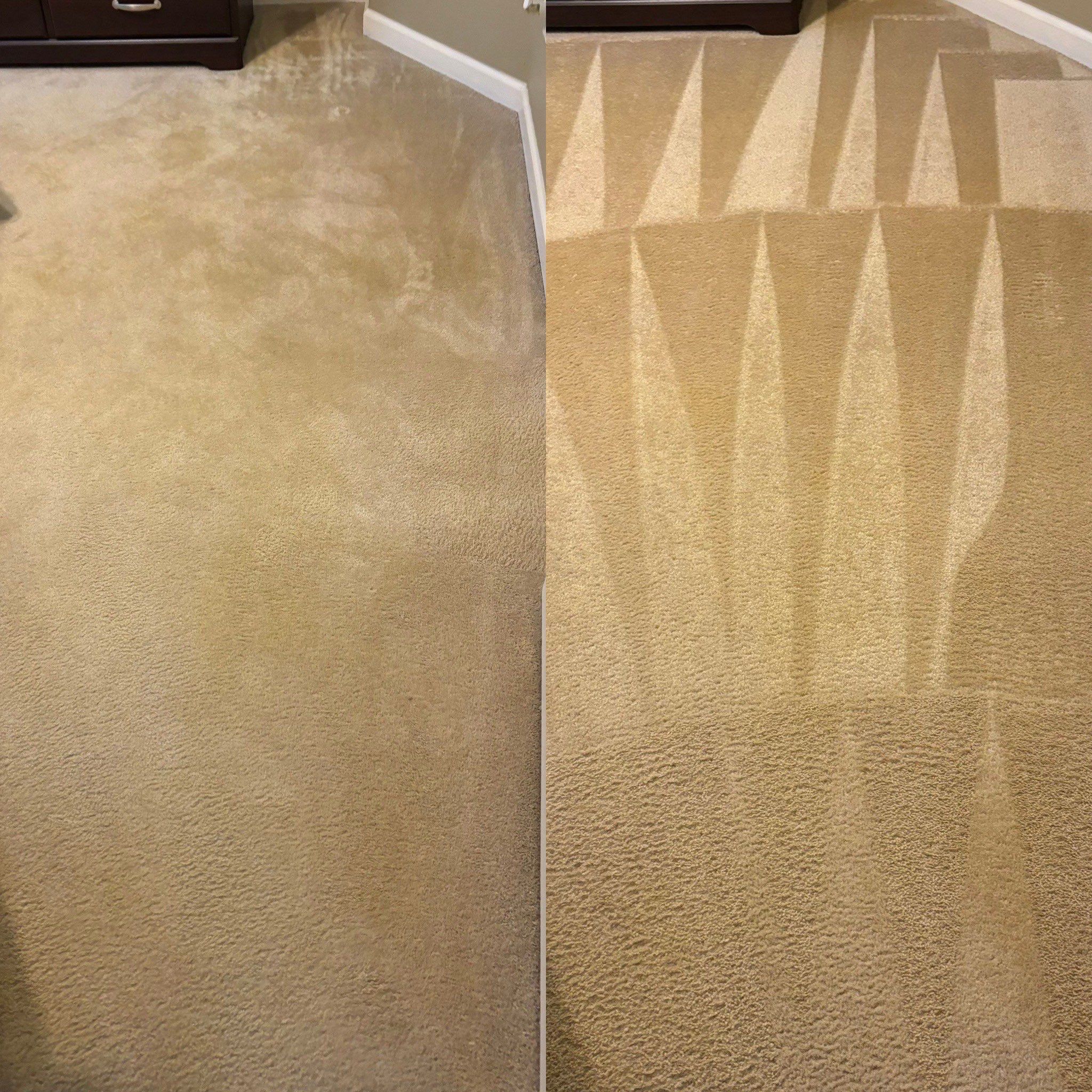 the service being done is professional carpet cleaning improving the appearance and cleanliness of the carpeted surface