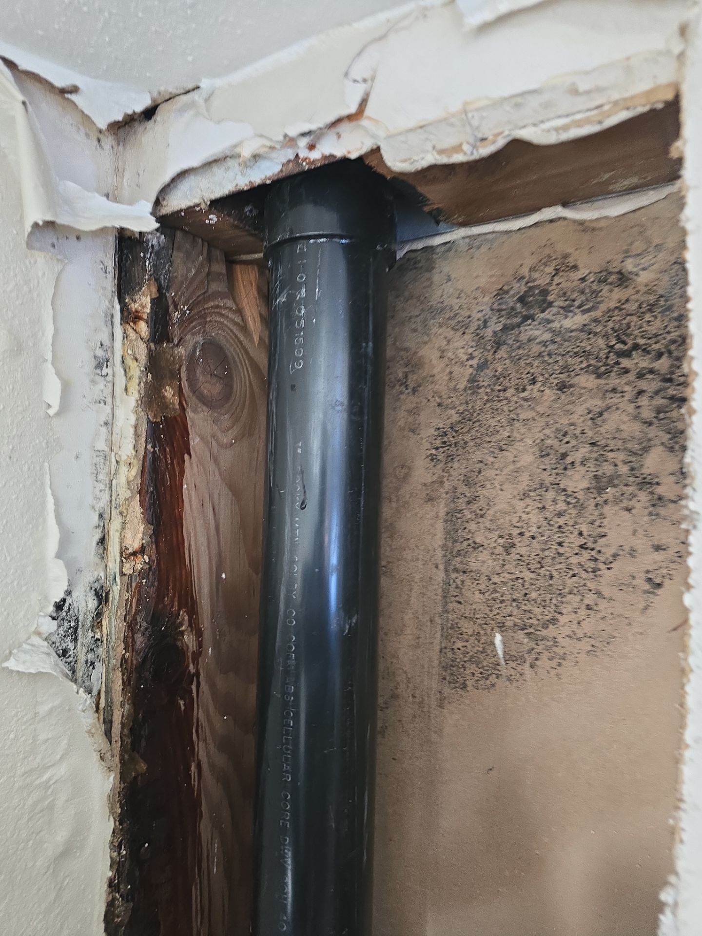 Installation of New Black Pipes and Shower Valve Repair by Us Plumbing
