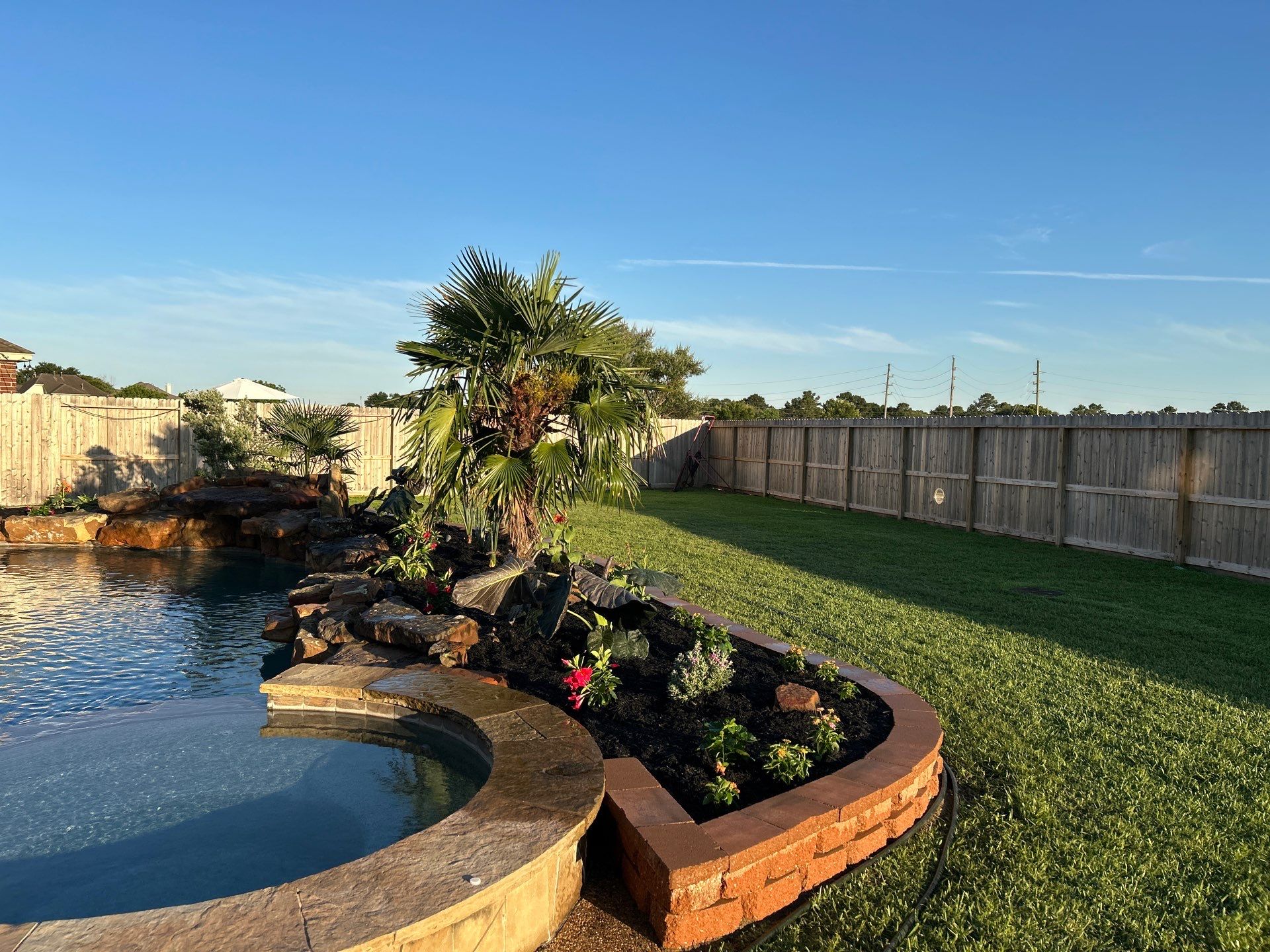 🌿 Larry Caudillo’s Poolside Landscape Revamp by Texas Urban Elements