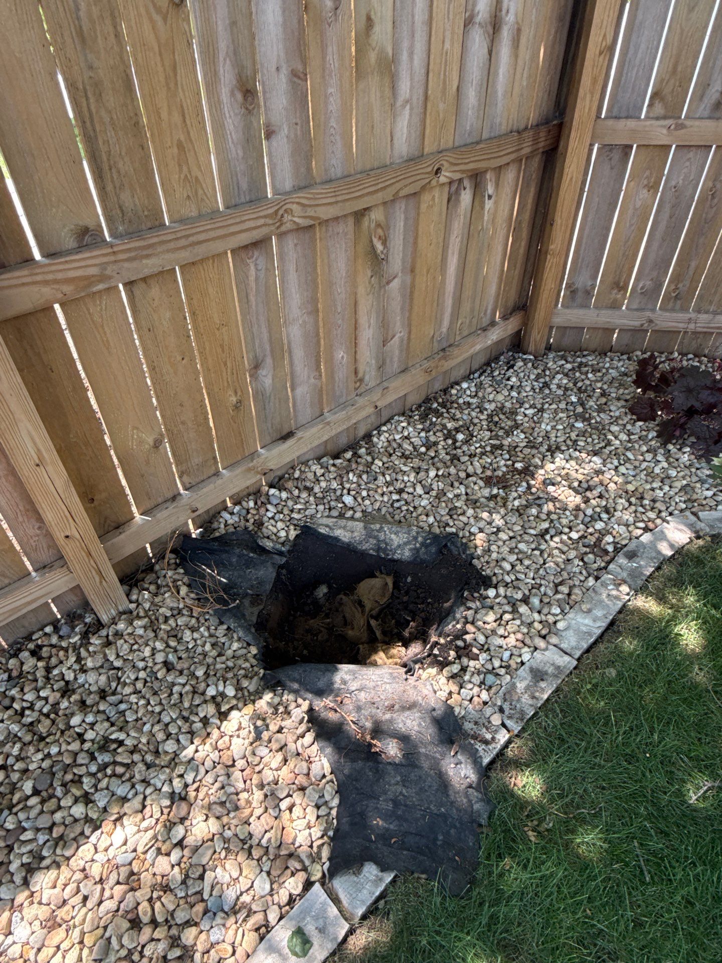 Jamie E. - Arlington Heights, IL by A&N