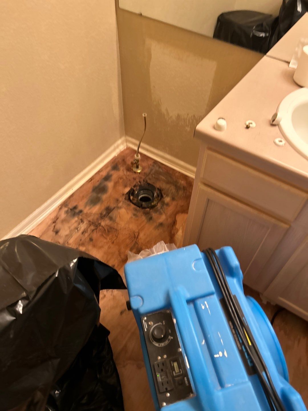 Mold Remediation by Accountable Home Services