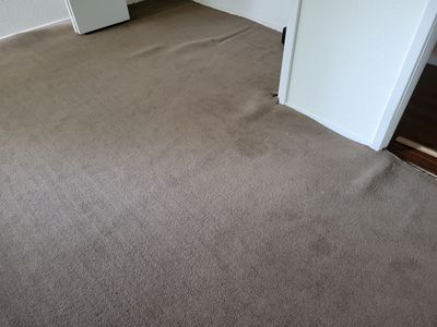 Carpet Re-stretching and Cleaning