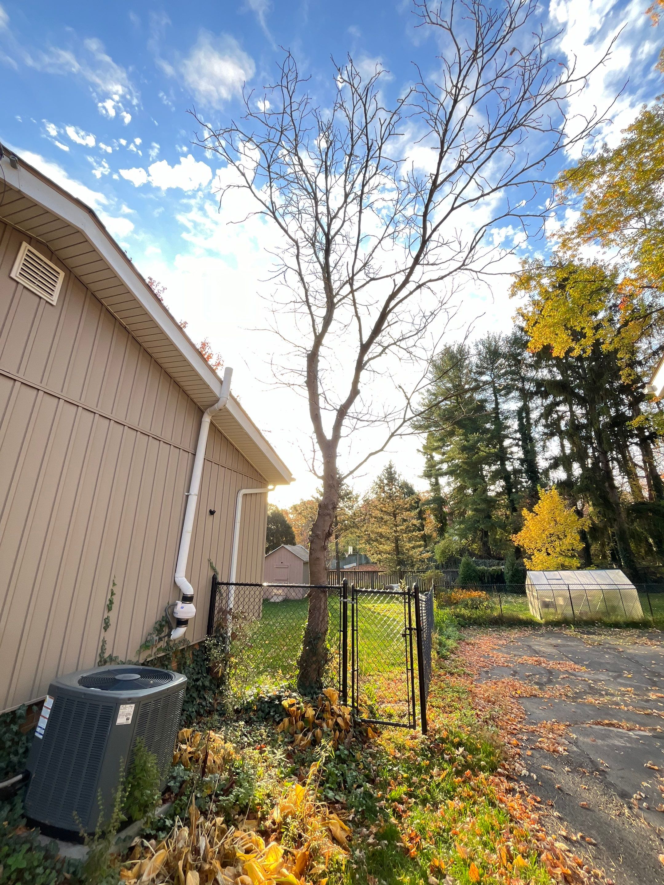 Tree Removal using Tree Removal by Mike Jones & Sons Tree Service LLC 