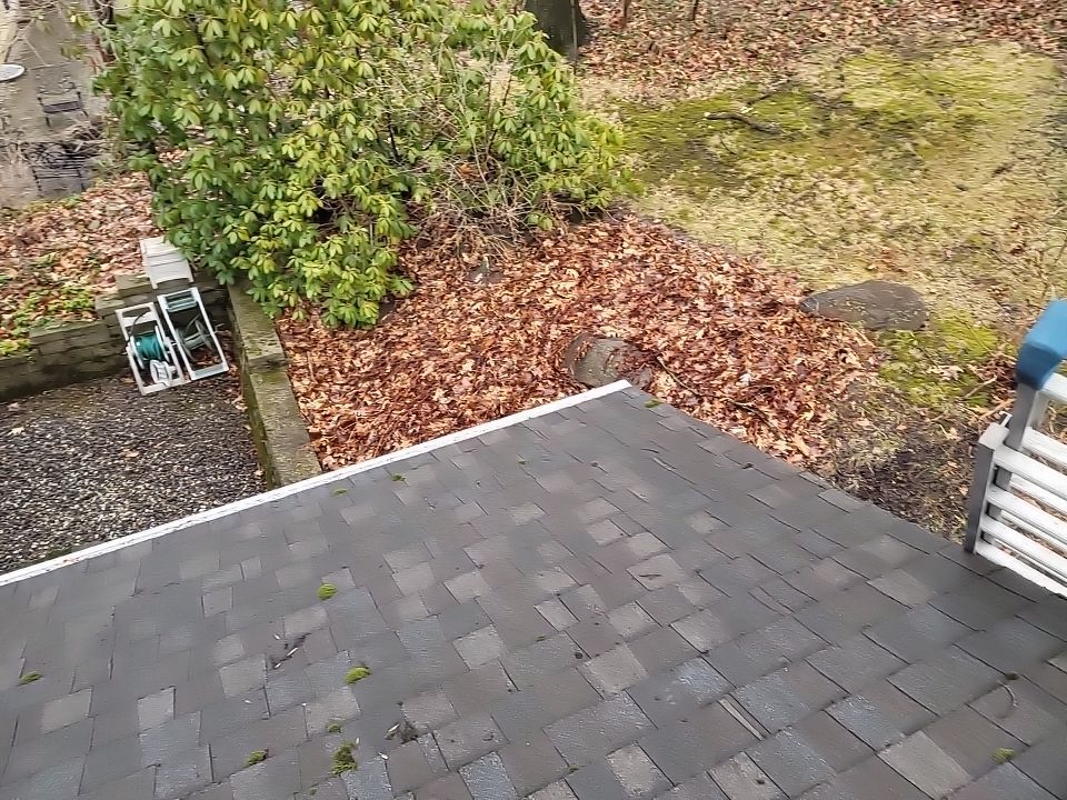 ATLAS PINNACLE COLOR: HEARTHSTONE DRIP EDGE: WHITE by Eagle Eye Roofing