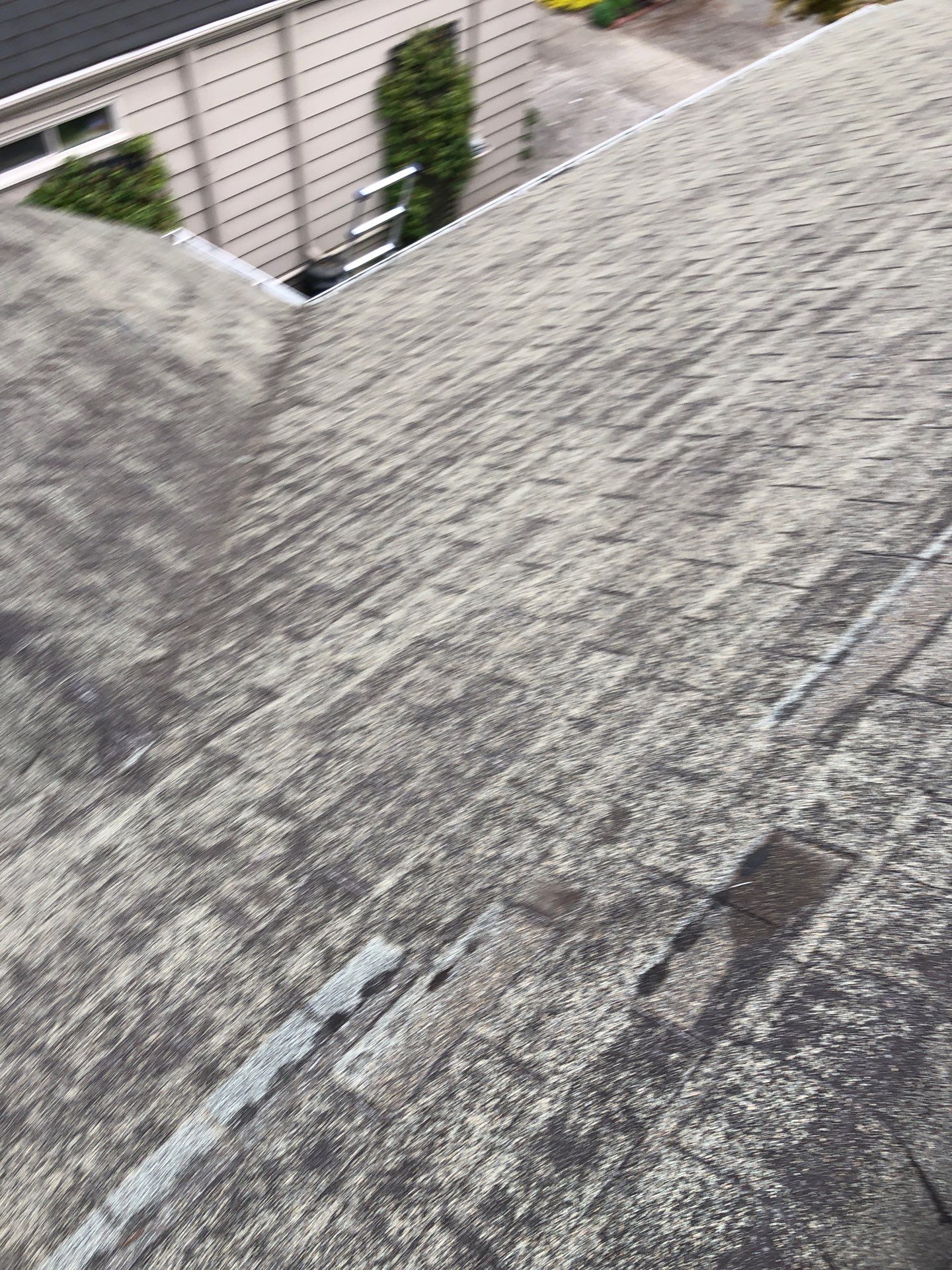 Project in Seattle by Peaks and Valleys Construction