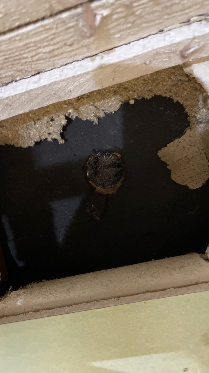 Drain Tile, Window Wells & Buried Discharge in Minneapolis by Waterproofing Northeast