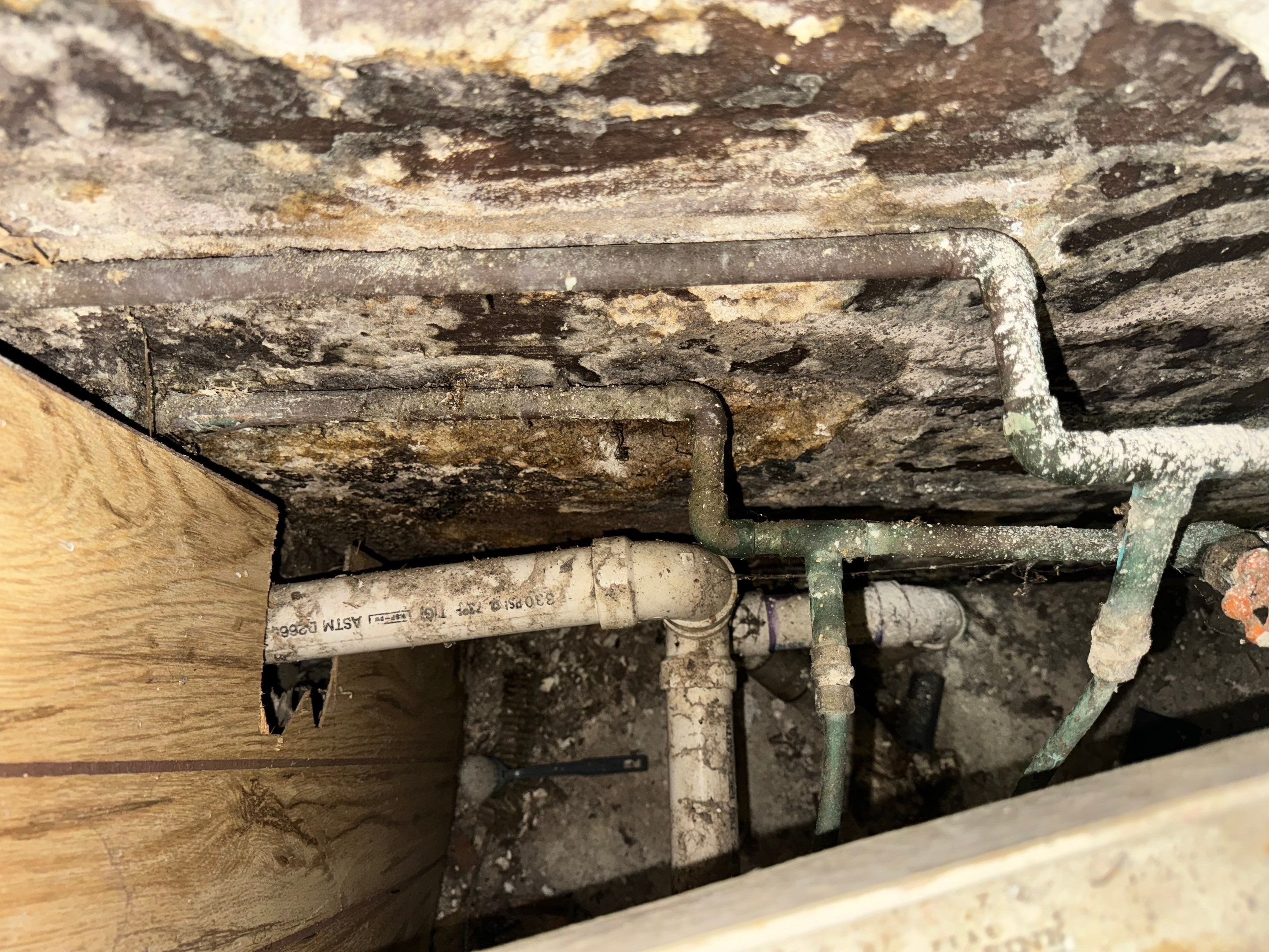 Interior French Drain West Orange NJ by Pure Service Pro, LLC 