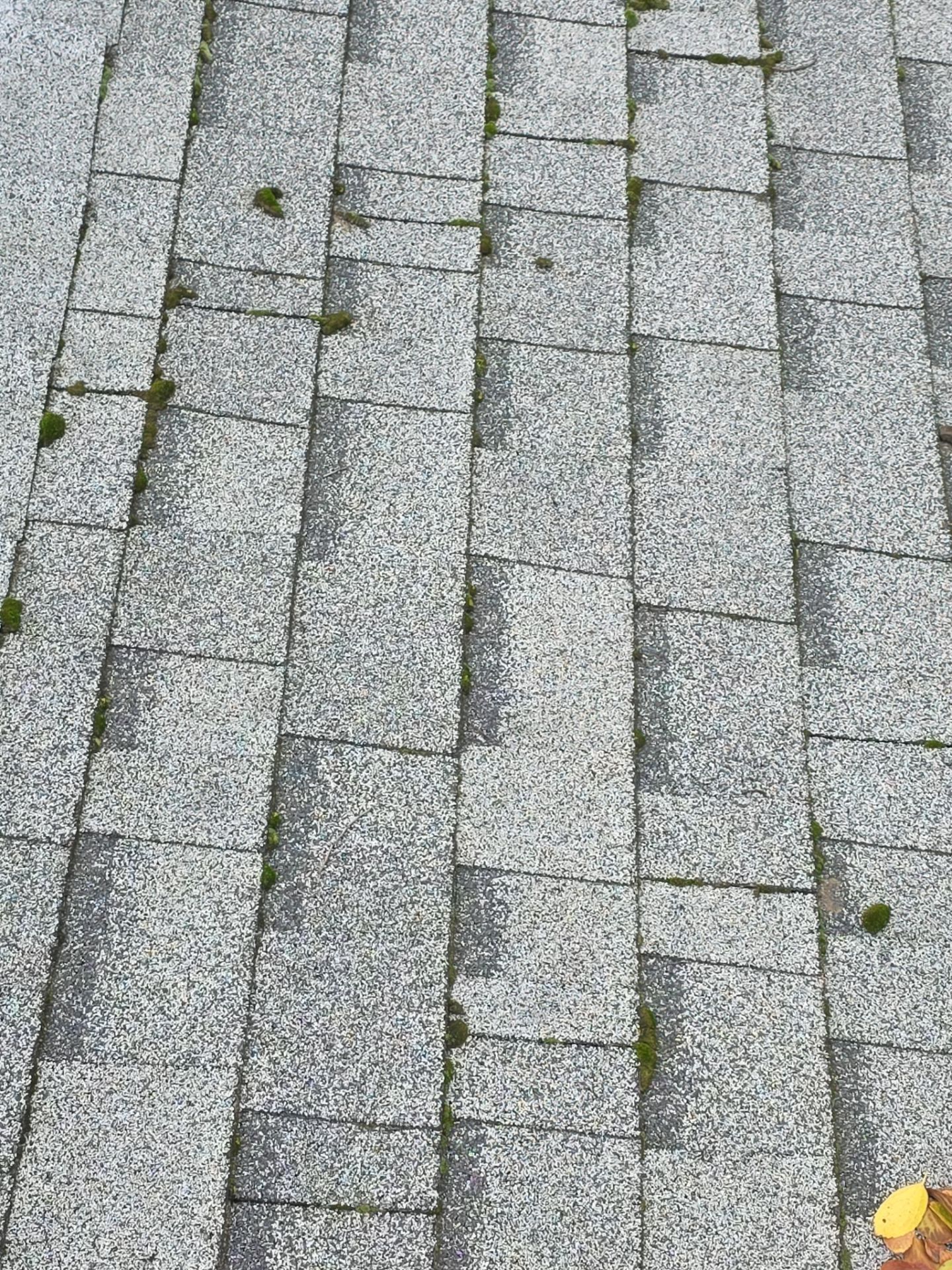 Roof Rejuvenation using Roof Maxx Treatment by Roof Maxx of Folsom