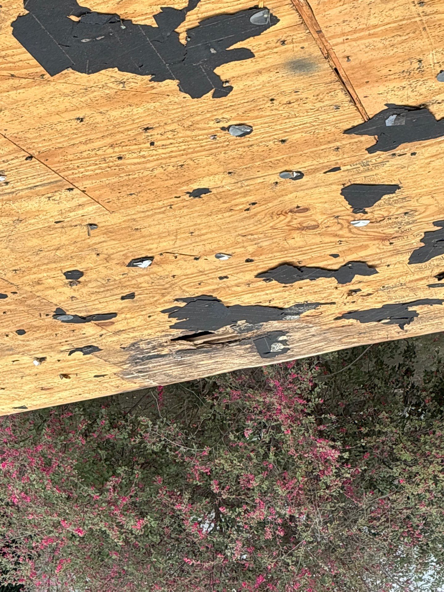 Roof Replacement Houston by Roof Repair Company