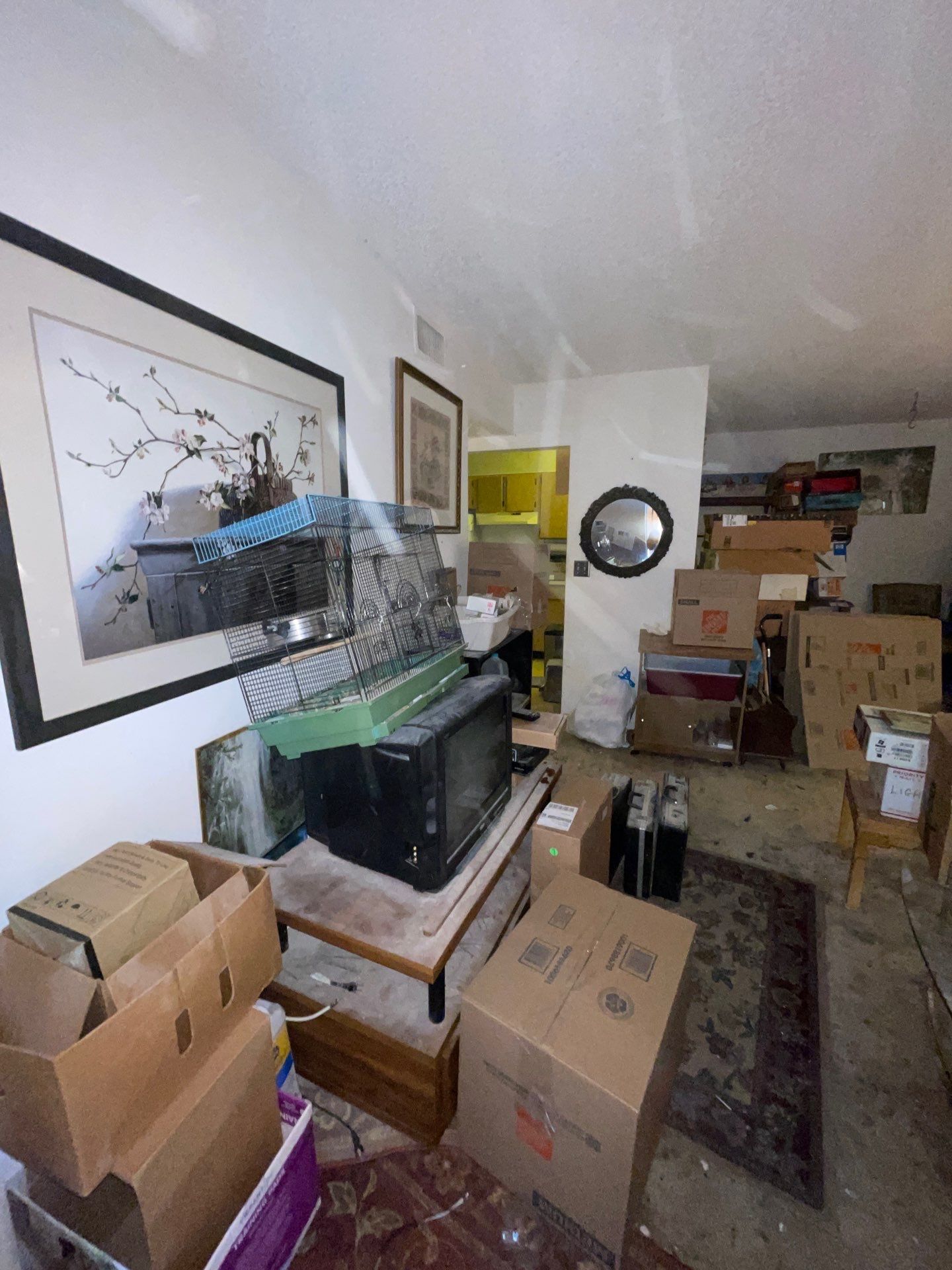 Horder house with Mold and Bacterial Contamination Issues  by Bay Coast Restoration 