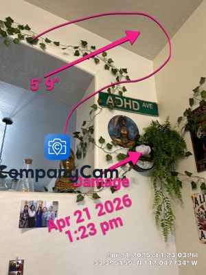 Interior Wall Decor and Custom Signage Installation in Phoenix
