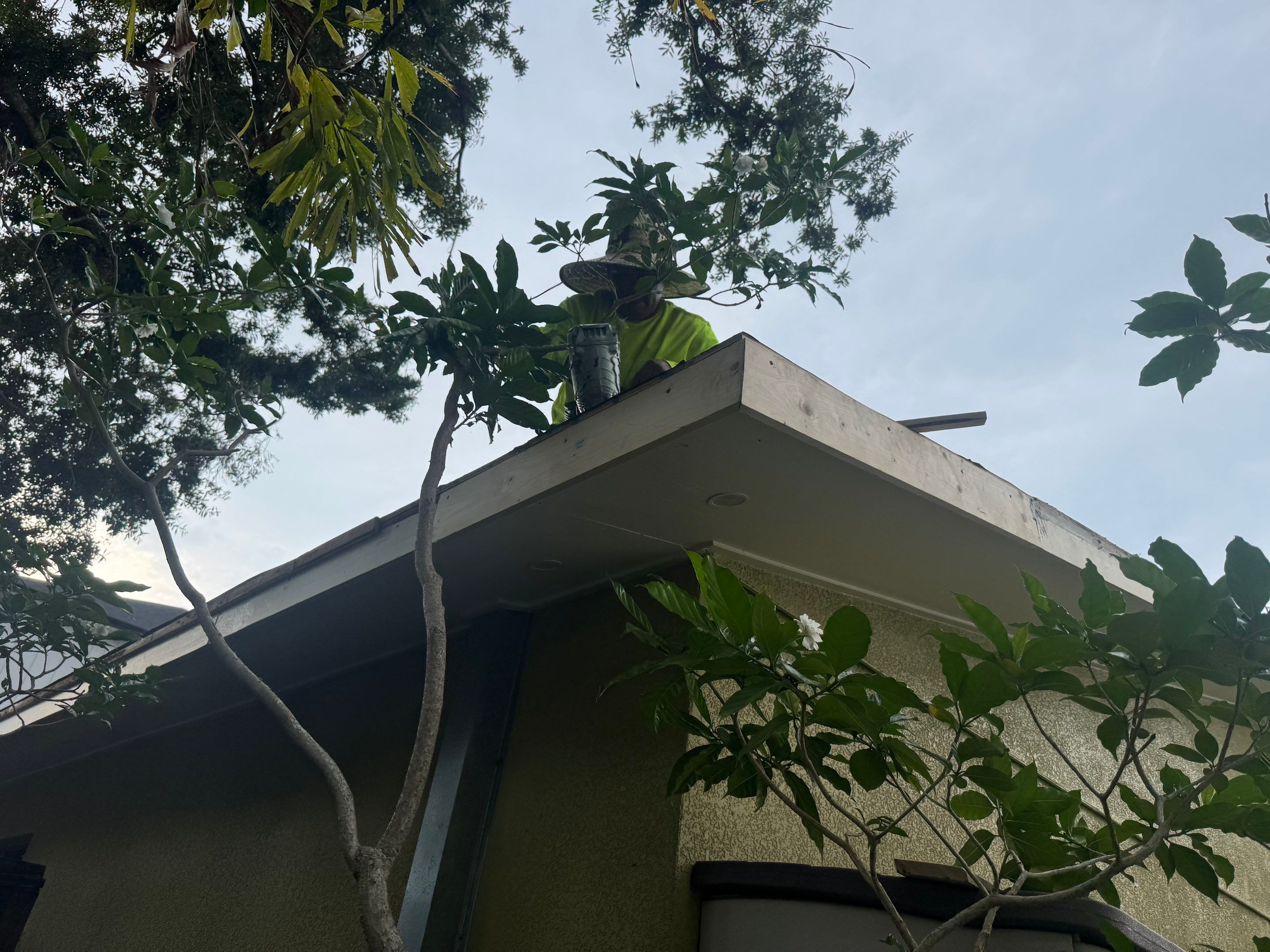 Project in St. Petersburg 33704 by Mitchell Roofing Company LLC
