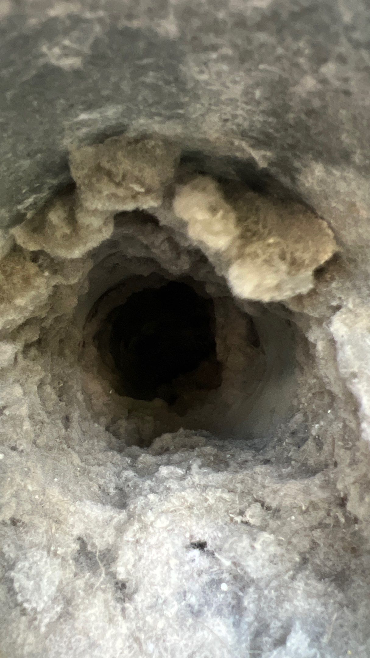 Dryer Vent Cleaning in Mars, PA by Superior Air Duct Cleaning