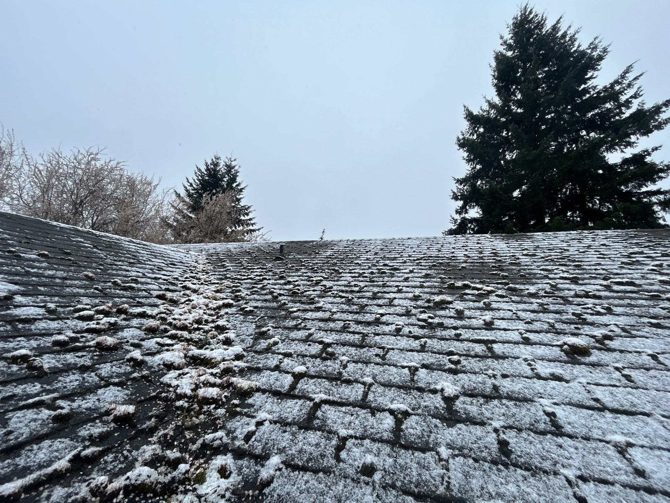 Roof in Lake Stevens by Connolly Construction Company