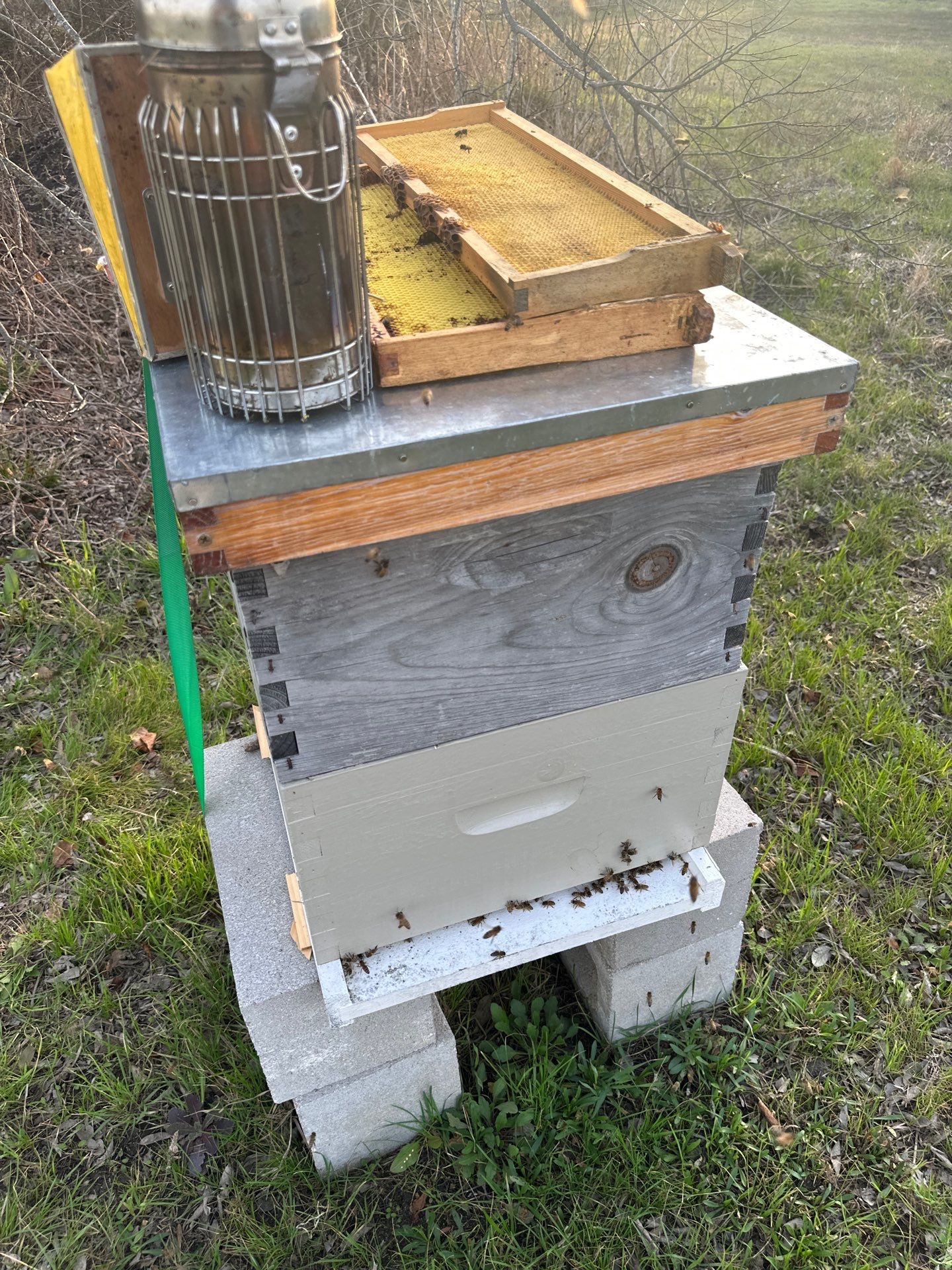 Honey-Maker Apiary in Greenville by Rockwall Honey Bee Company