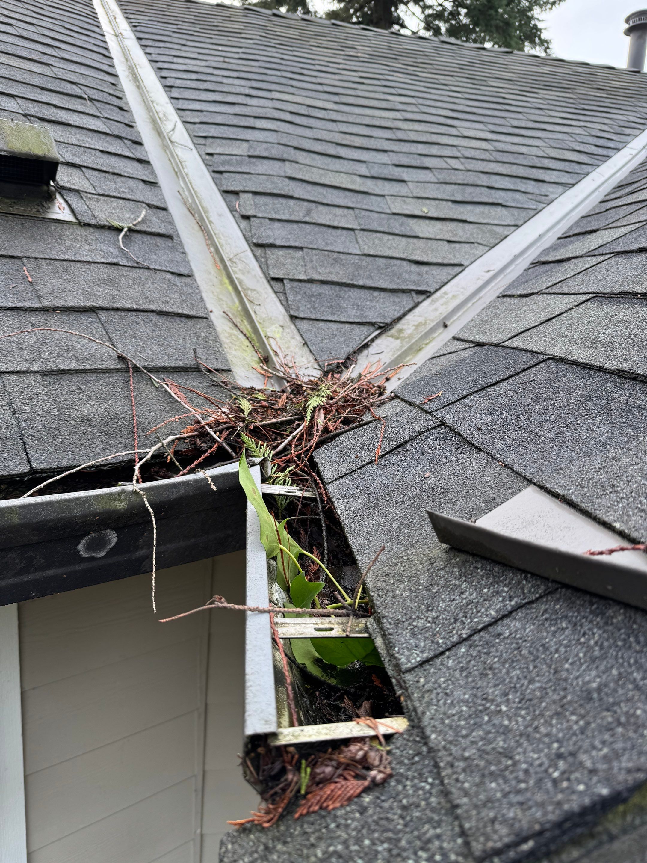 Gutter Cleaning by YVR Construction Group