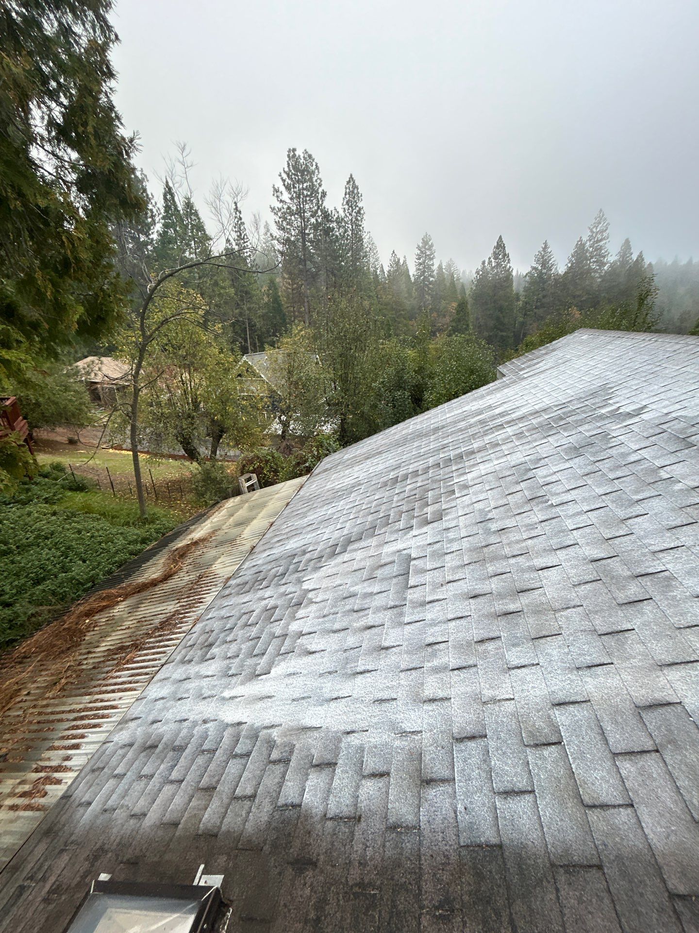 Roof Rejuvenation using Roof Maxx Treatment by Roof Maxx of Folsom
