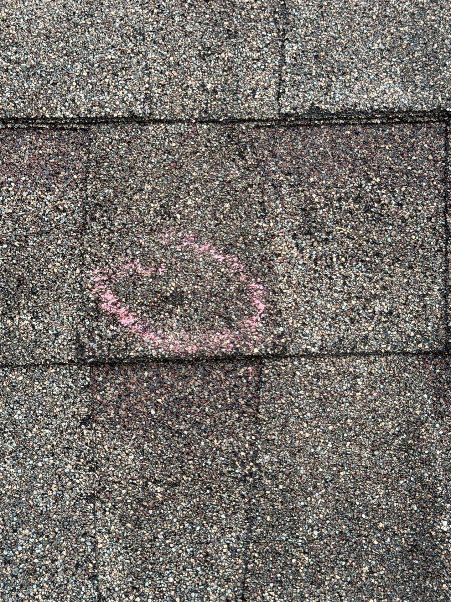 Veronica Inspection by Boss Hogg Roofing