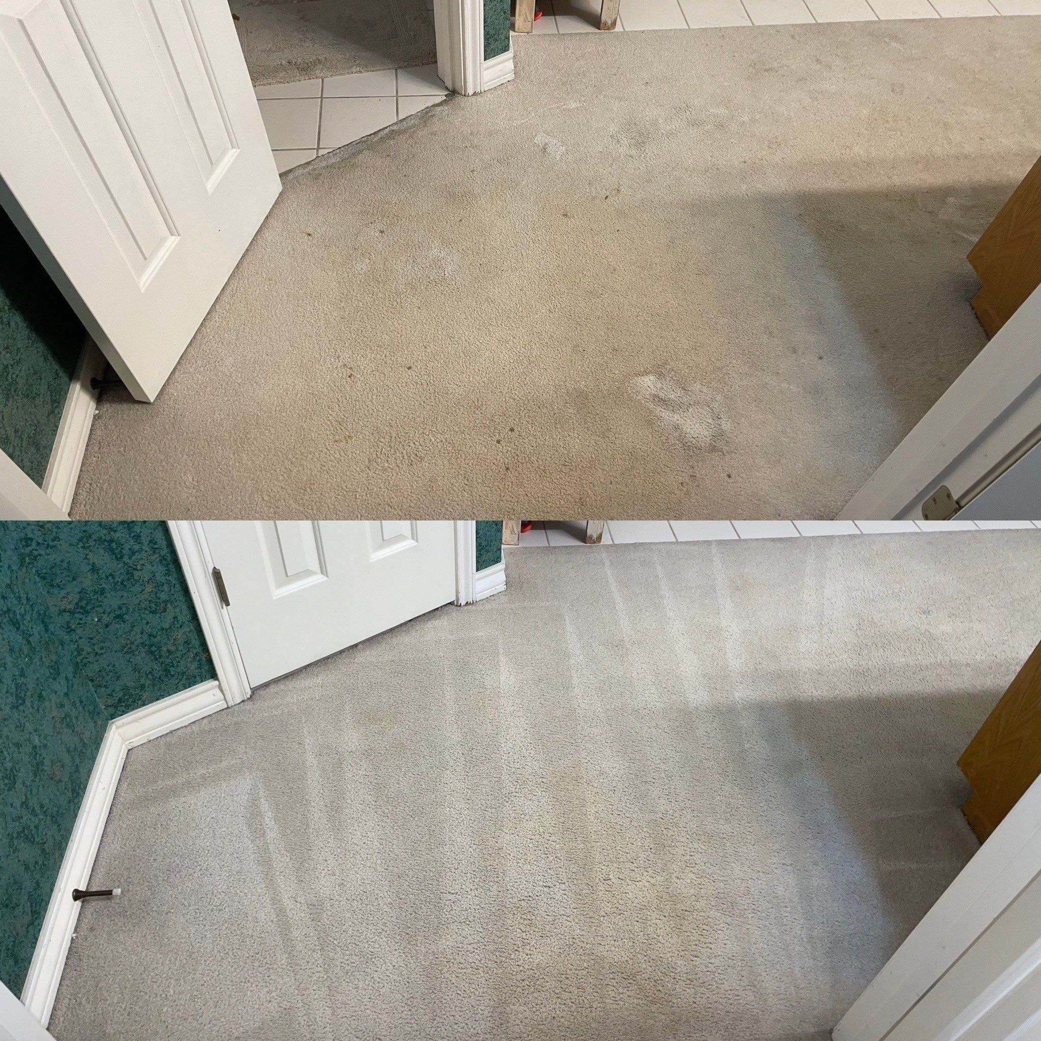 before and after deep carpet cleaning removing dirt stains restoring original color
