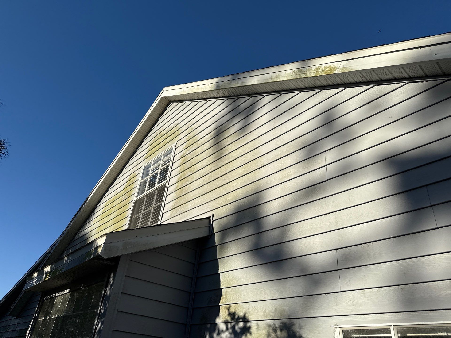 🏡 From Green to Clean! 🌊 Epic House & Pool Cage Cleaning on the Manatee River | Ellenton, FL 💦 by Sunshine AquaWash