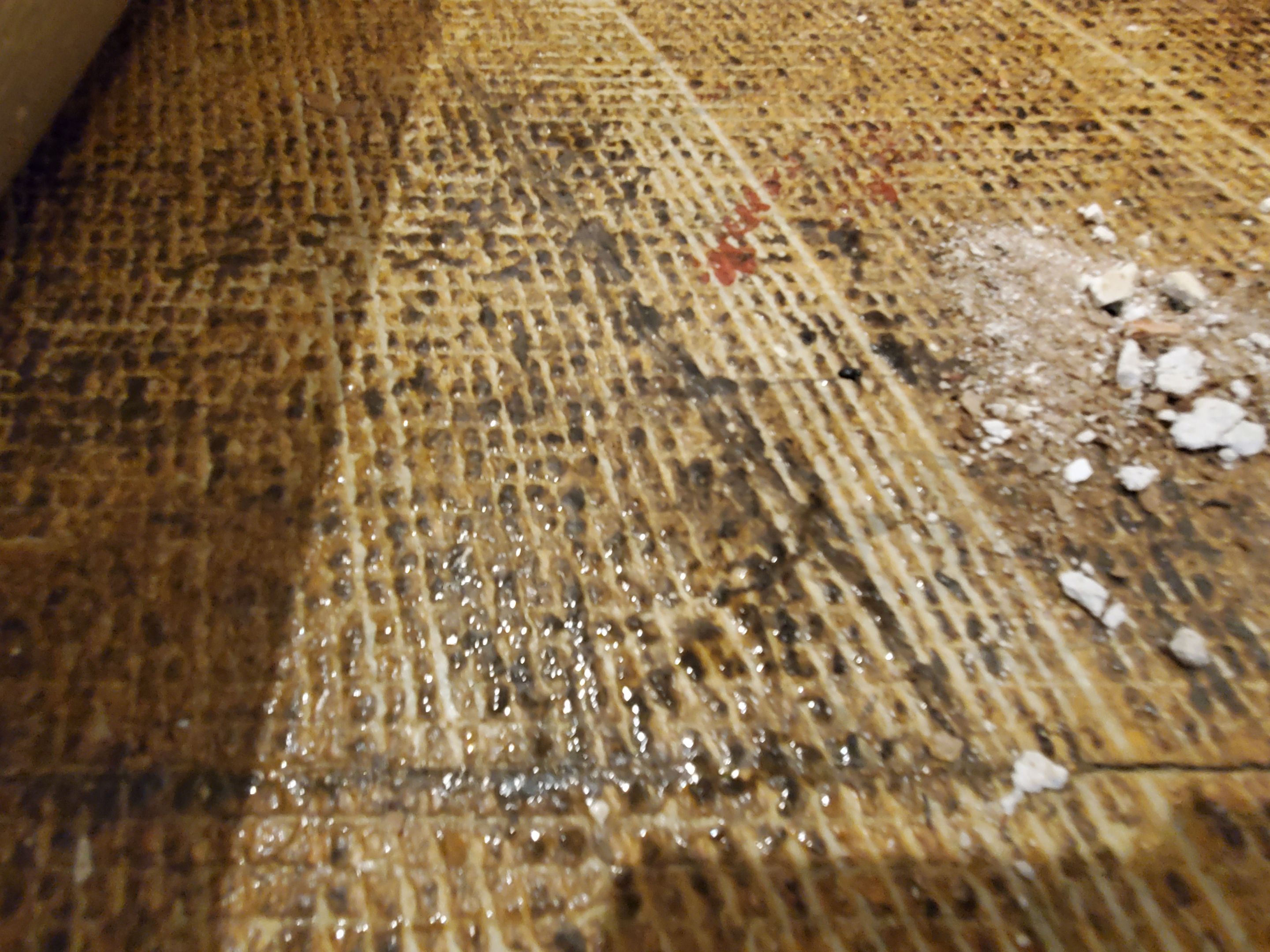 Water Damage by Construction Now LLC
