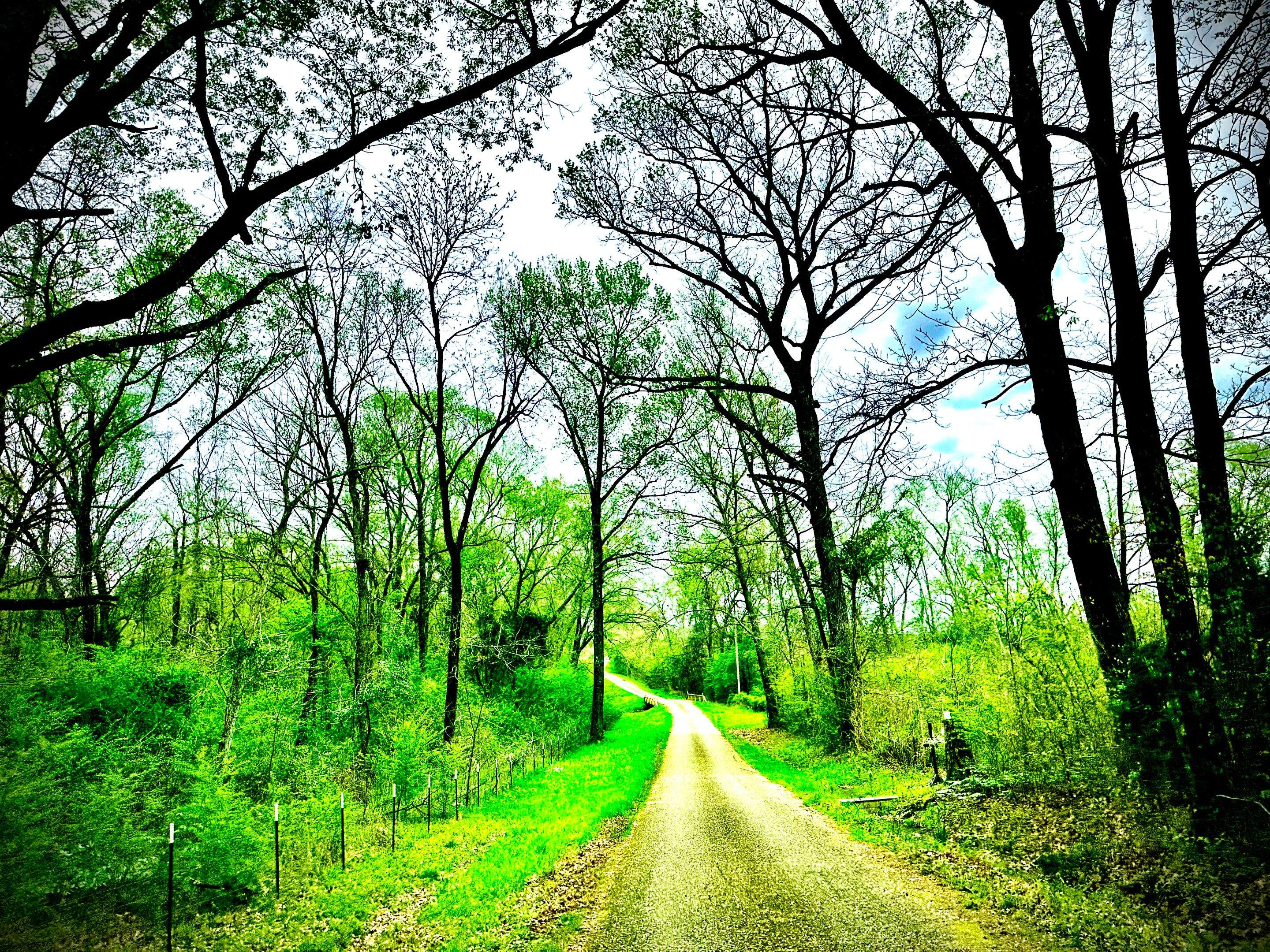 Tree Farm Apiary by Rockwall Honey Bee Company