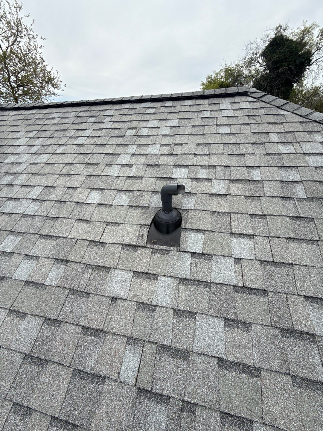 Project in Cambridge by Bec Construction Llc