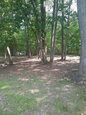 Tree Removal using Tree Removal