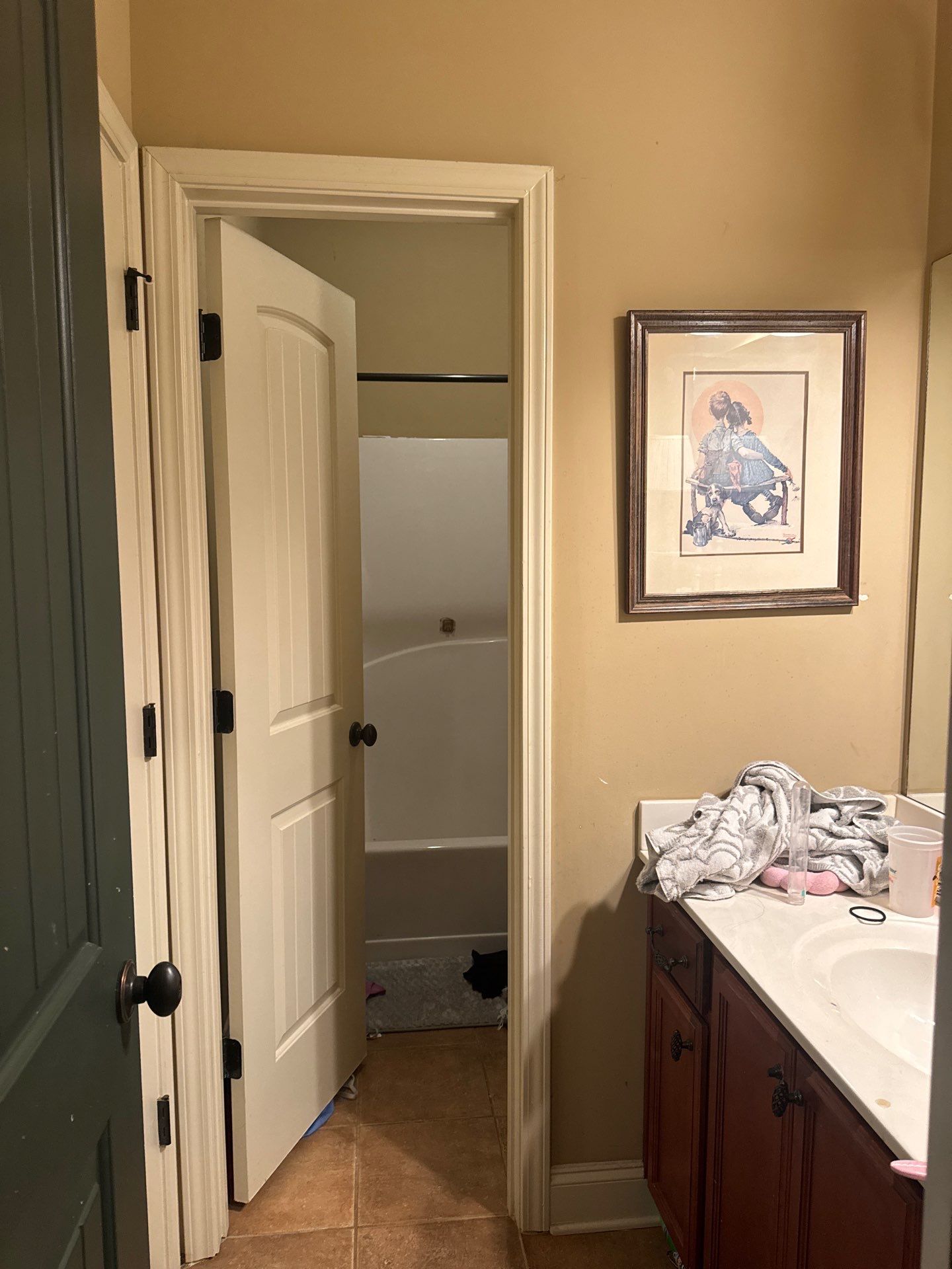 Bathroom Renovation by Praise God Painting, LLC