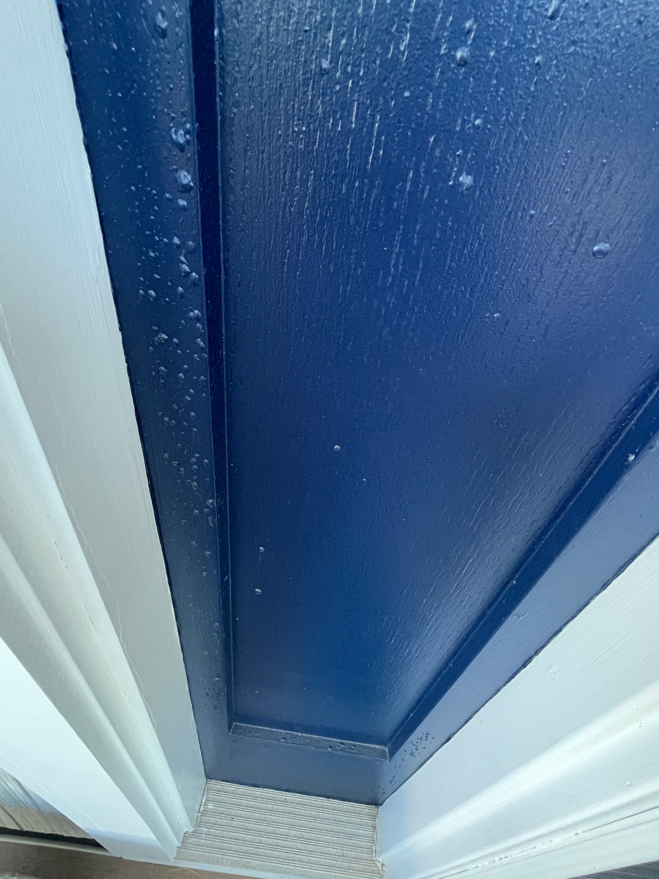 Craftsman Entry Door Restoration and Painting in Ocean City by FreshCoat Works LLC