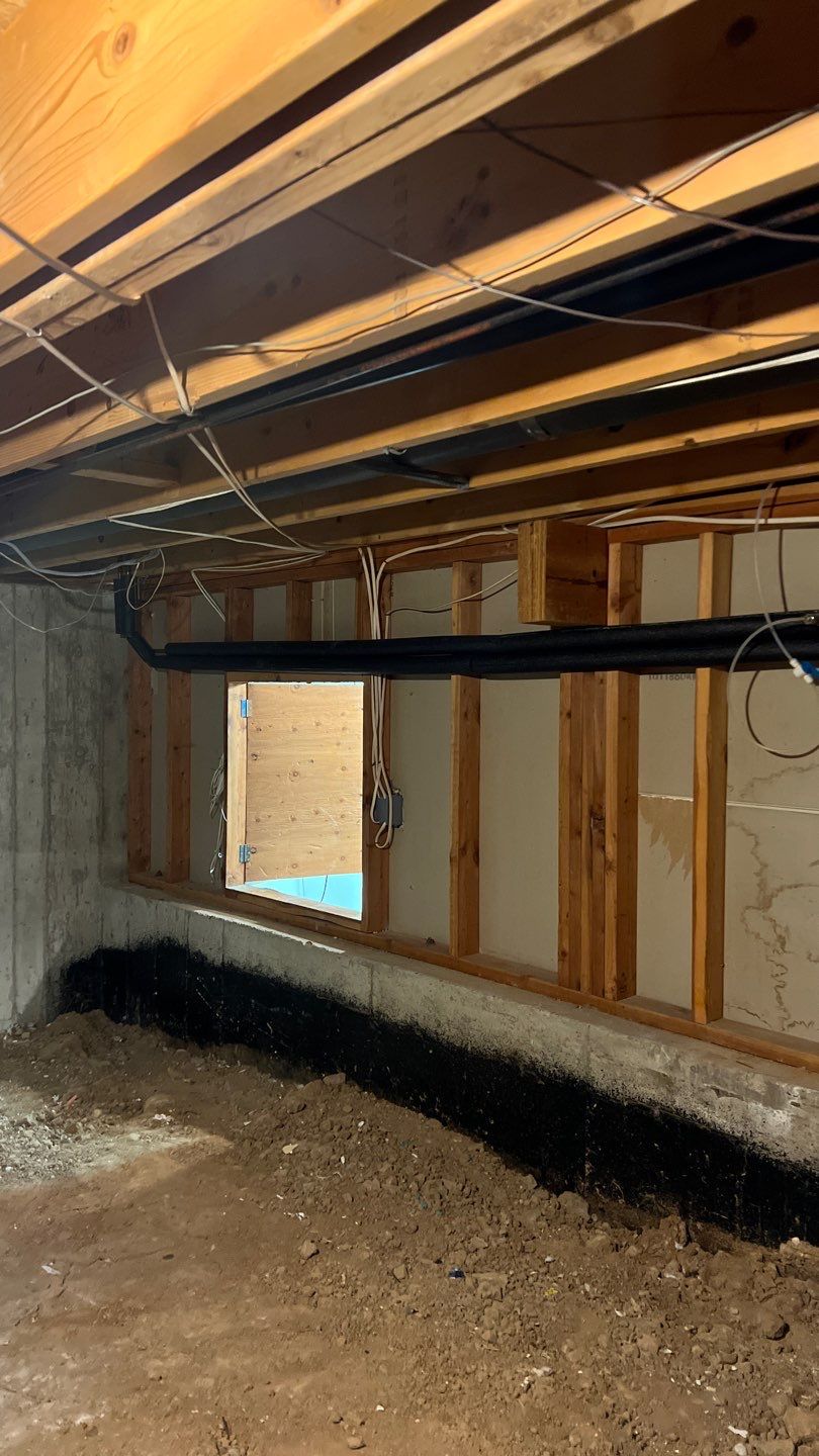 Mold Damage by Accountable Home Services