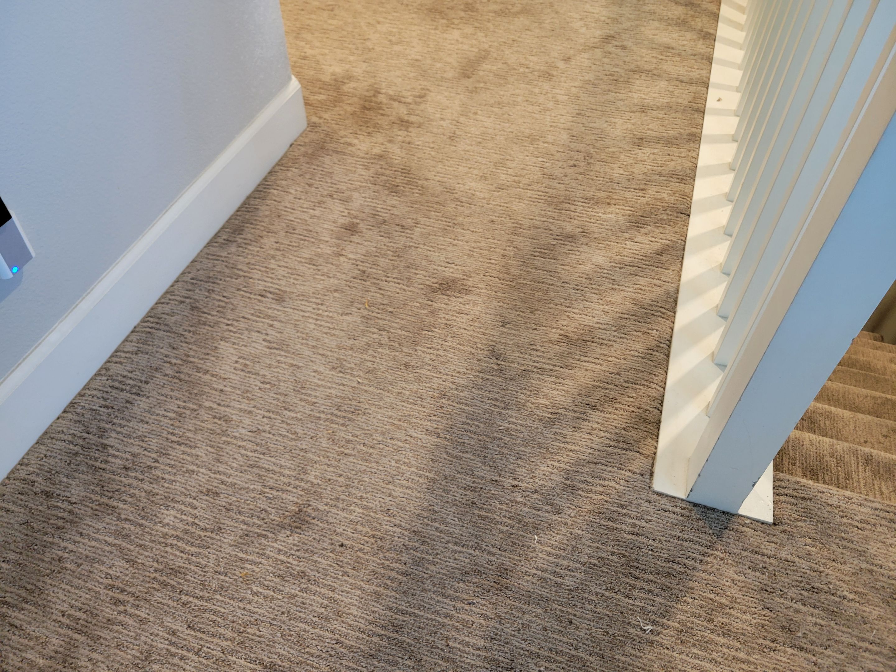 Correcting a Post Water-Damage Re-install by Ardent Carpet Restore LLC