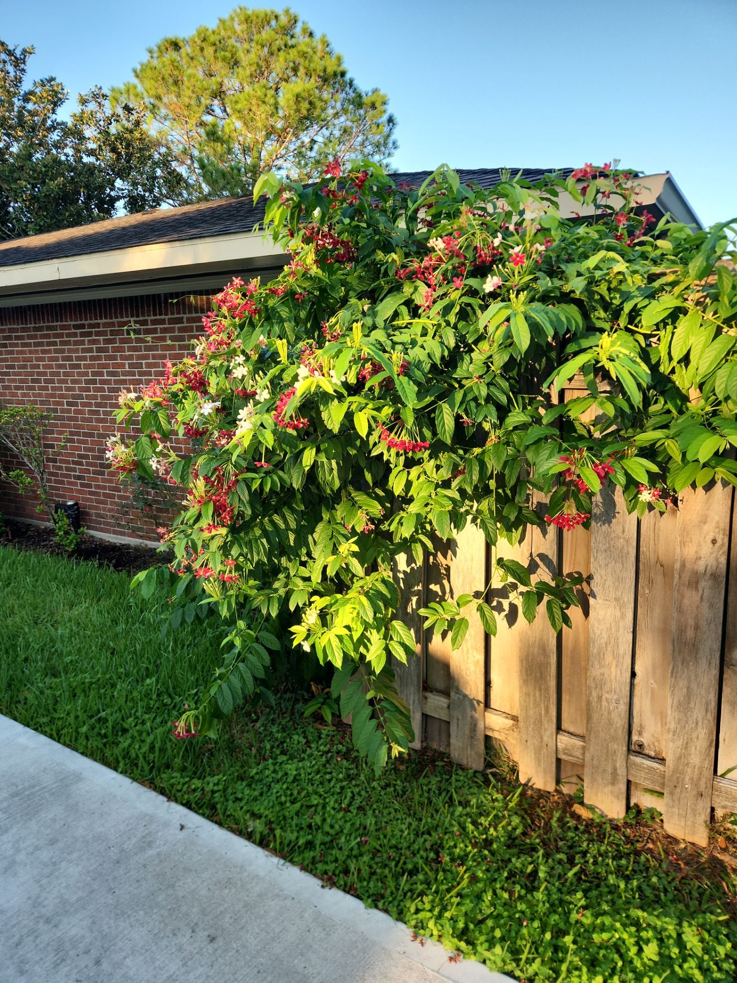 8ft Tall wood fence installation by Tim's Fences