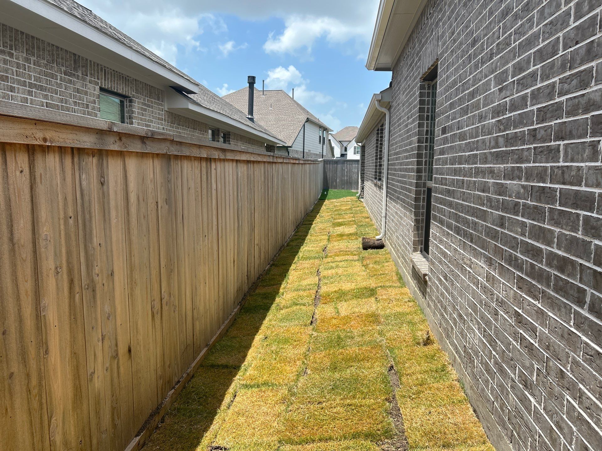 🌿 Mr. Rajaram’s Lawn Transformation by Texas Urban Elements