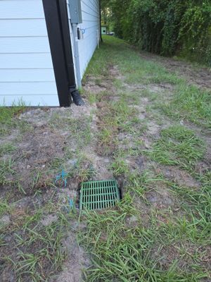Project in Plant City