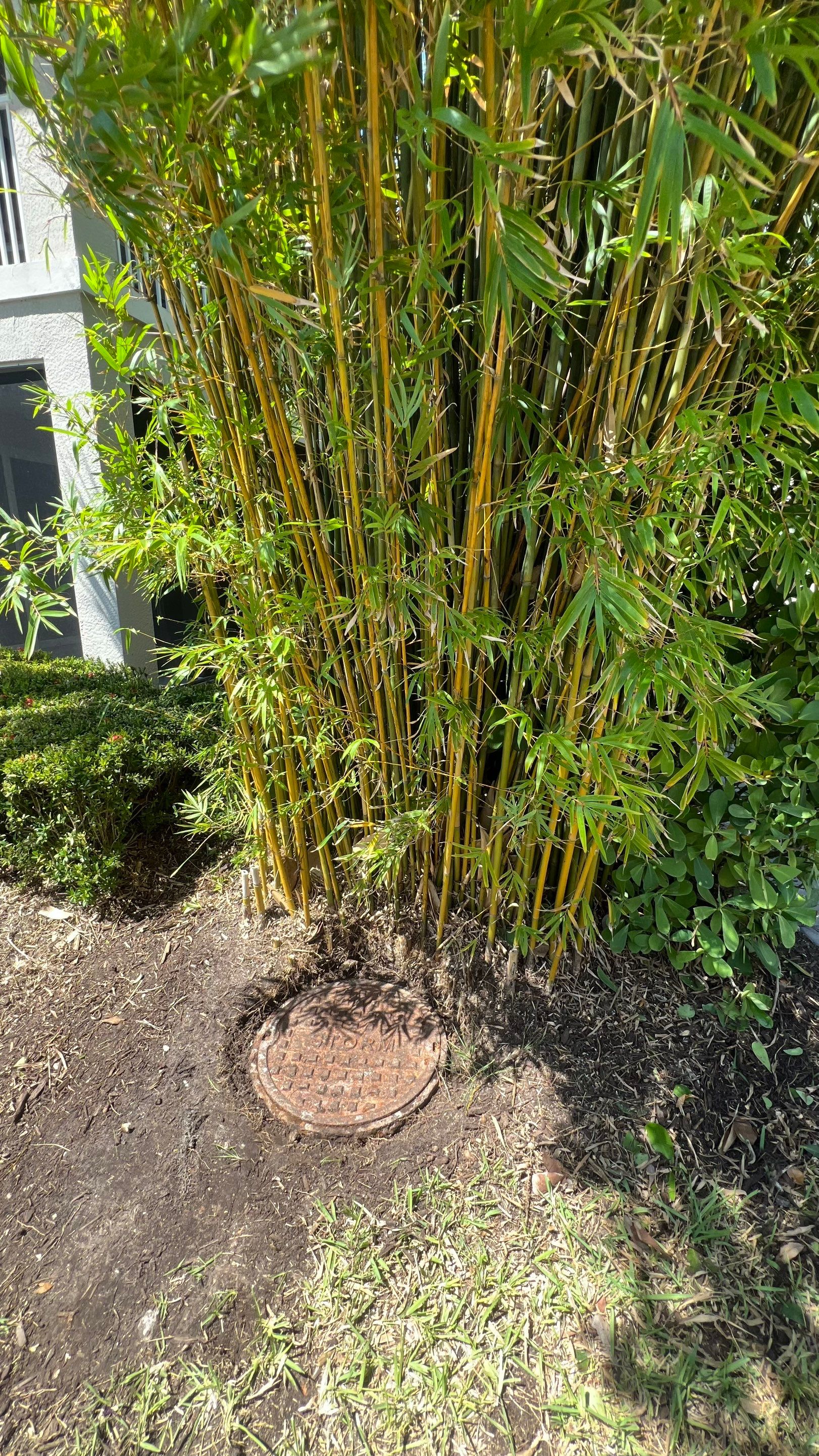 Community Storm System Maintenance and Camera Inspection by Don Mar, Inc. Storm Water Solutions