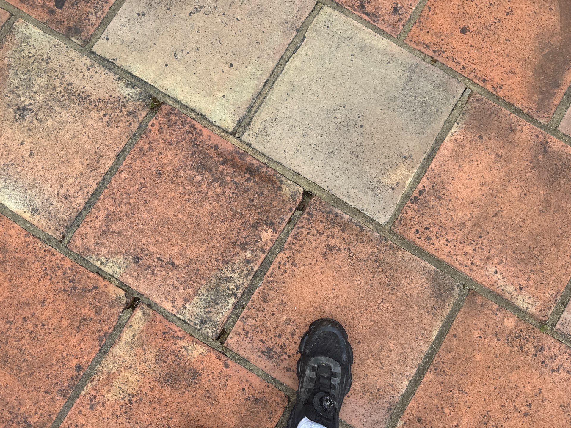 Roof and Patio Cleaning using Honda 15lpm Low Pressure Washing Machine by Ges Exterior Cleaning ltd