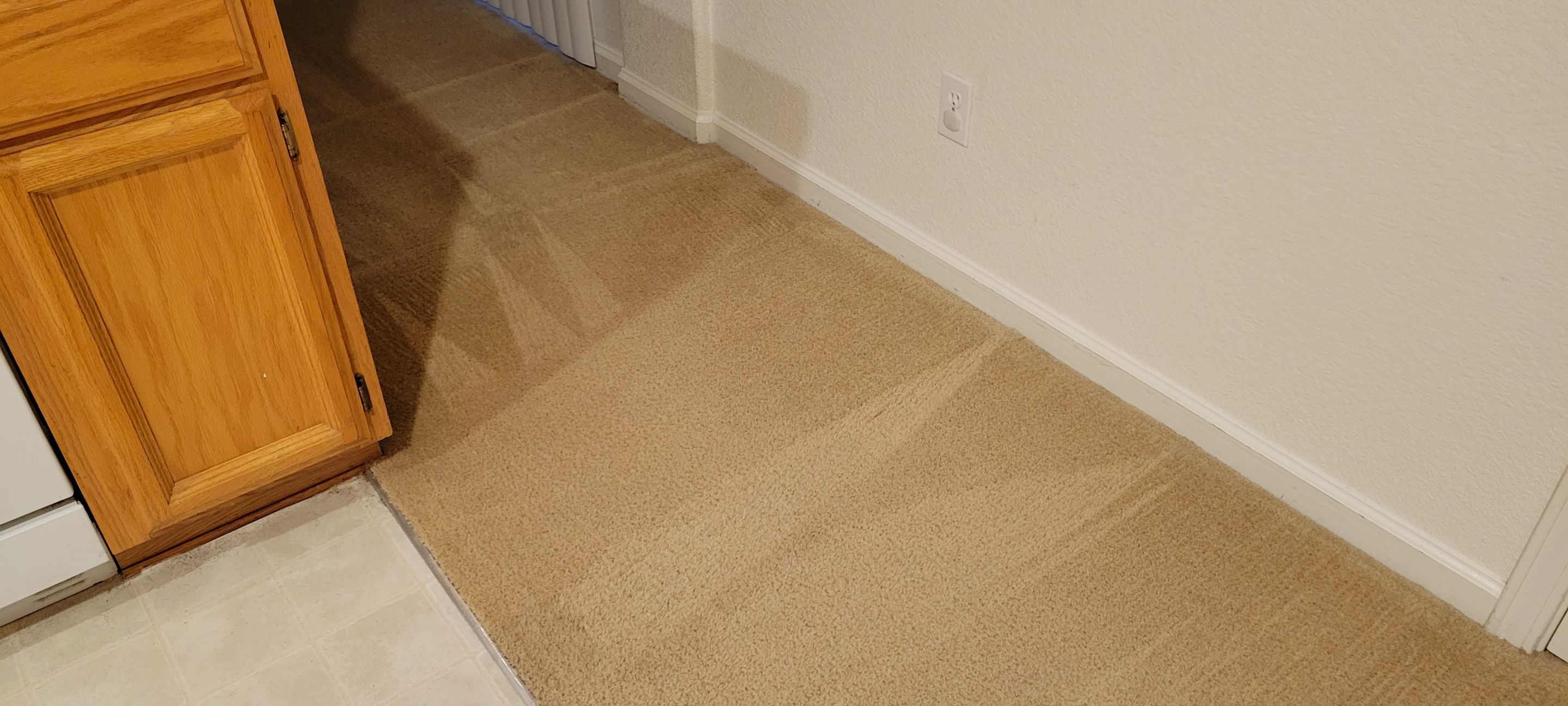 Sectioning Out a Failed Dye Attempt by Ardent Carpet Restore LLC