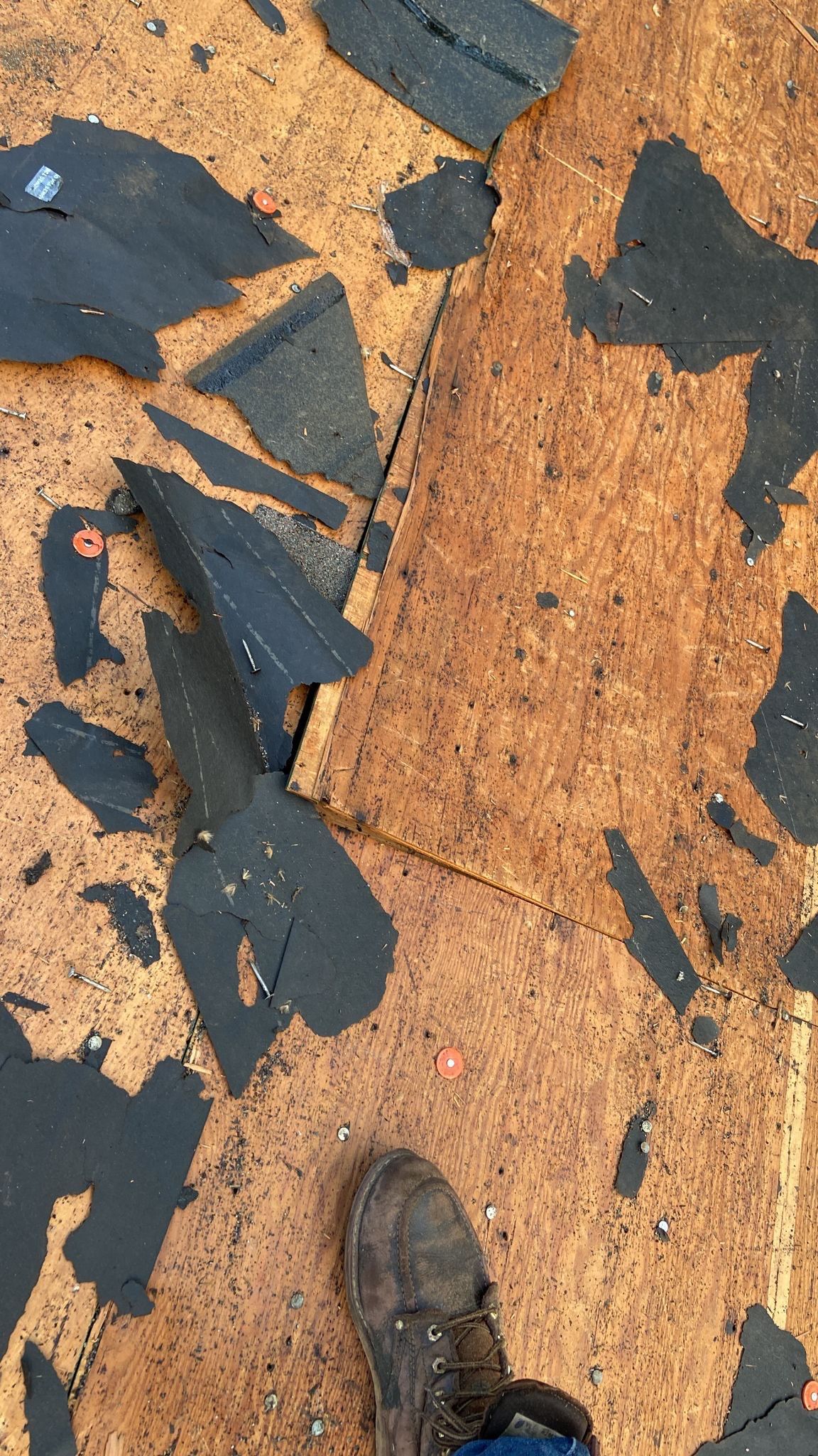 Residential Roofing Installation using Owen's Corning Duration by Roof Concepts Construction