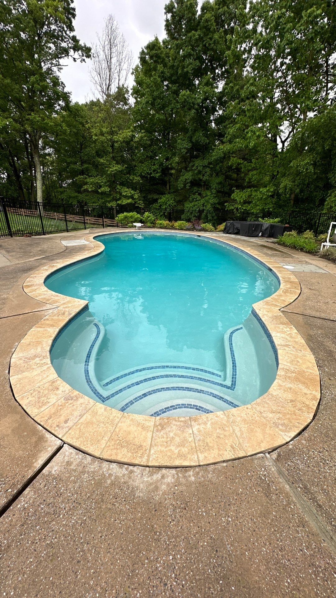 Tile/Coping/Plaster Renovation by Elysium Pools
