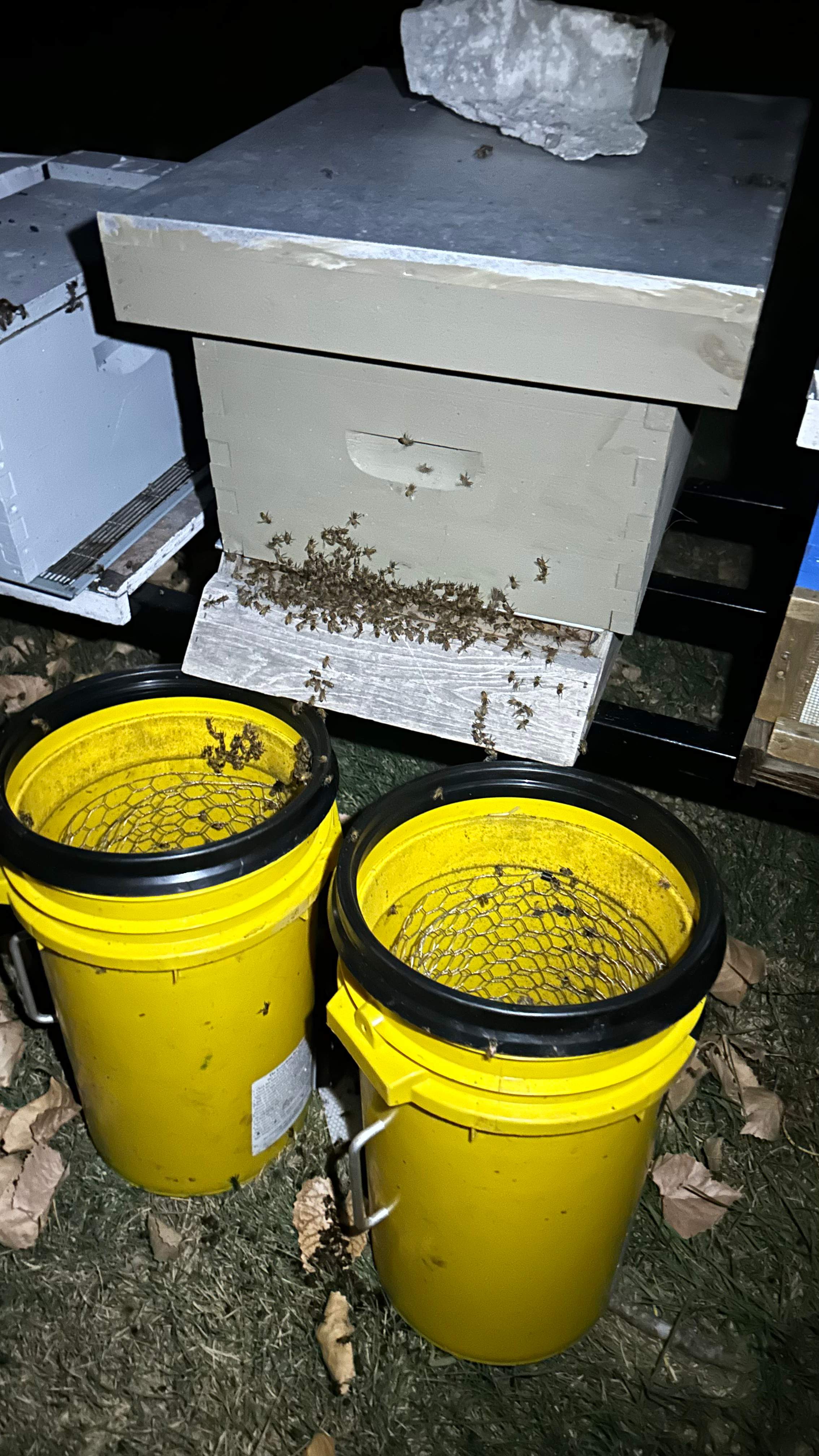 City Tree Company  by Rockwall Honey Bee Company