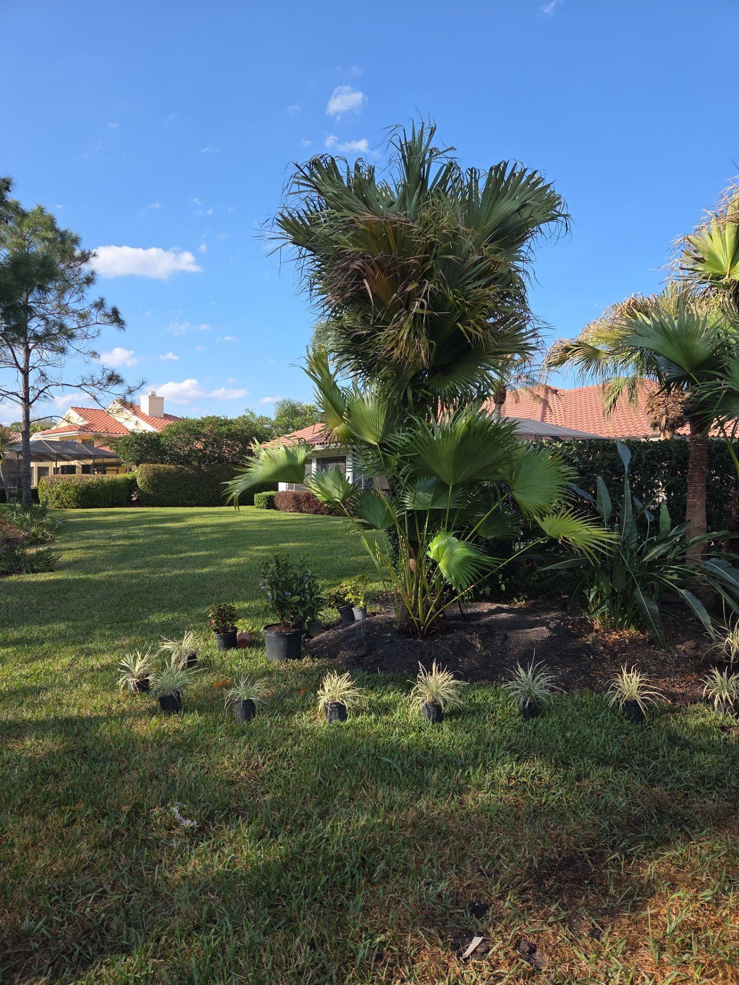 Harbour Ridge Backyard Revival by Alpha Zeta Enterprises Inc