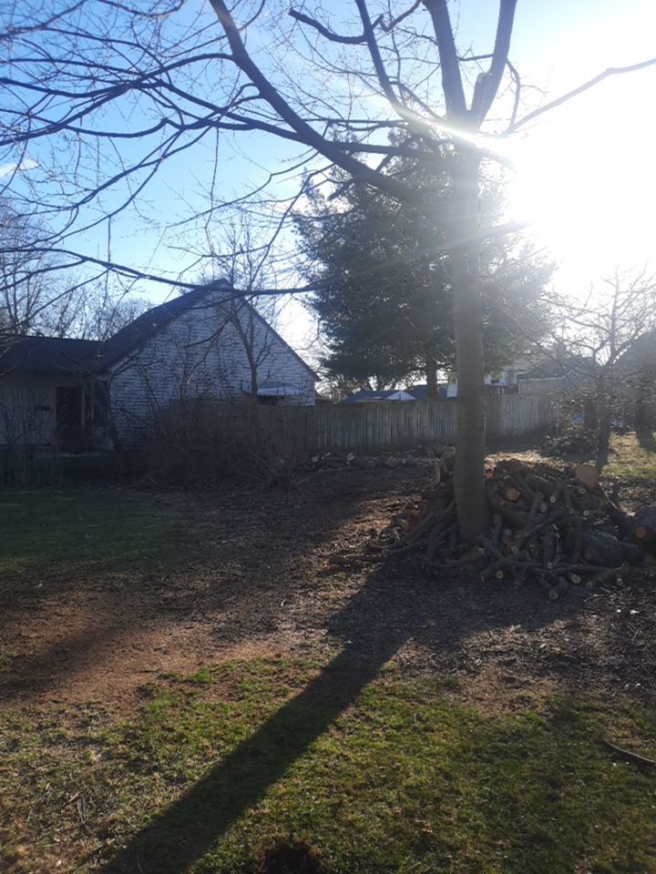 Tree Removal using Tree Removal by Mike Jones & Sons Tree Service LLC 
