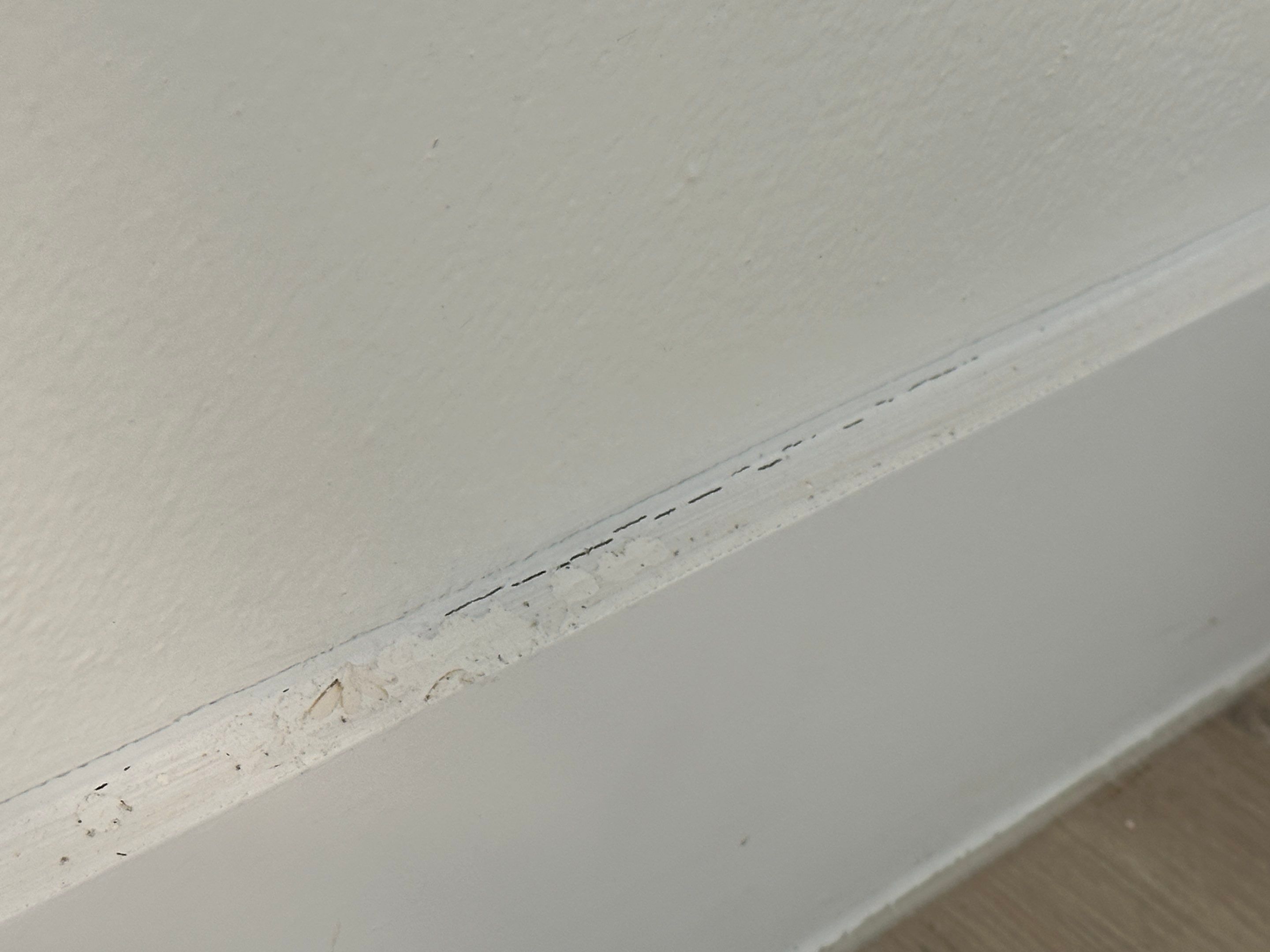 Water Damage Claim in North Miami by FLAPA & KeyStone