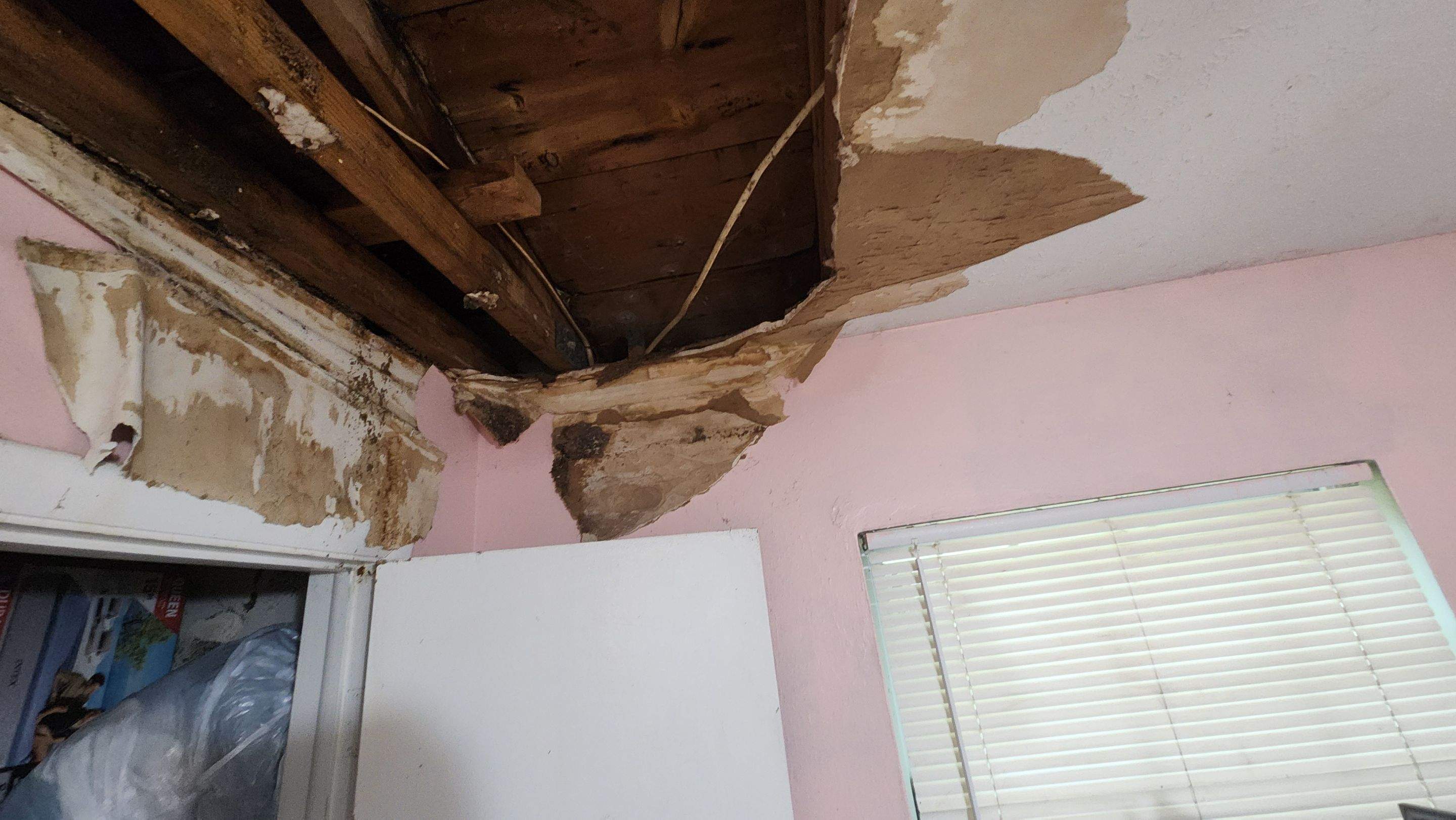Tree Damage Claim in Orlando by FLAPA & KeyStone