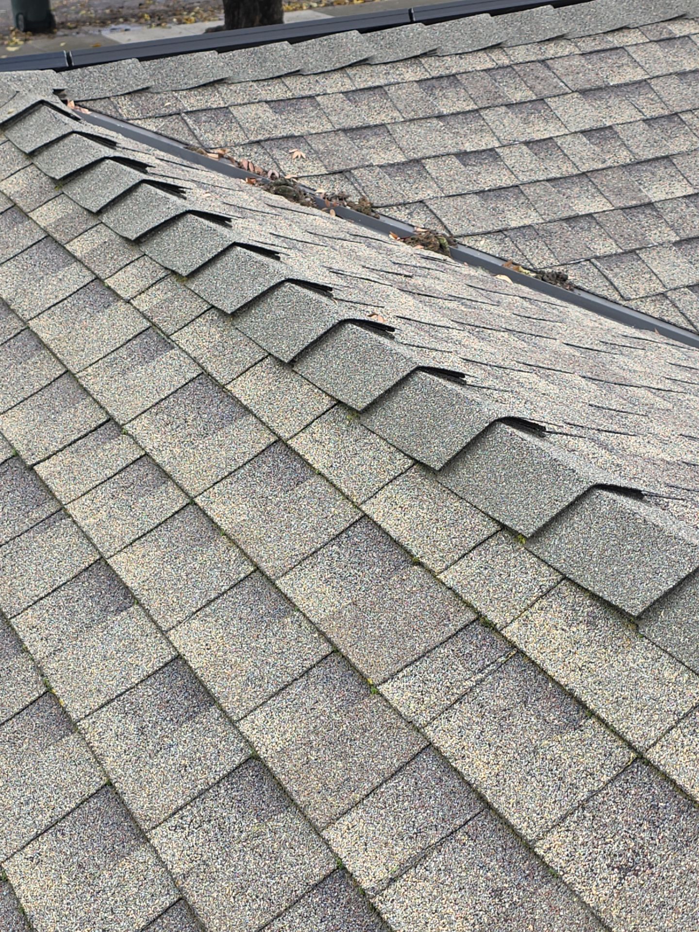 Roof Rejuvenation using Roof Maxx Treatment by Roof Maxx of Folsom