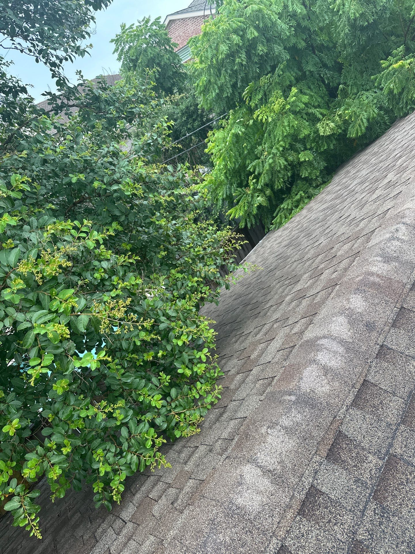 Roof Repair Houston by Roof Repair Services LLC